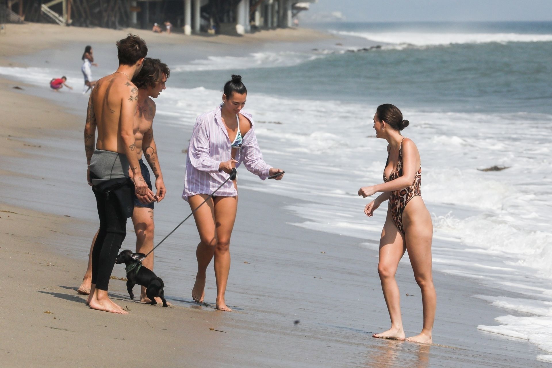 Dua Lipa  Anwar Hadid Take Their New Puppy for a Walk Along the Shores of Malibu (57 Photos)