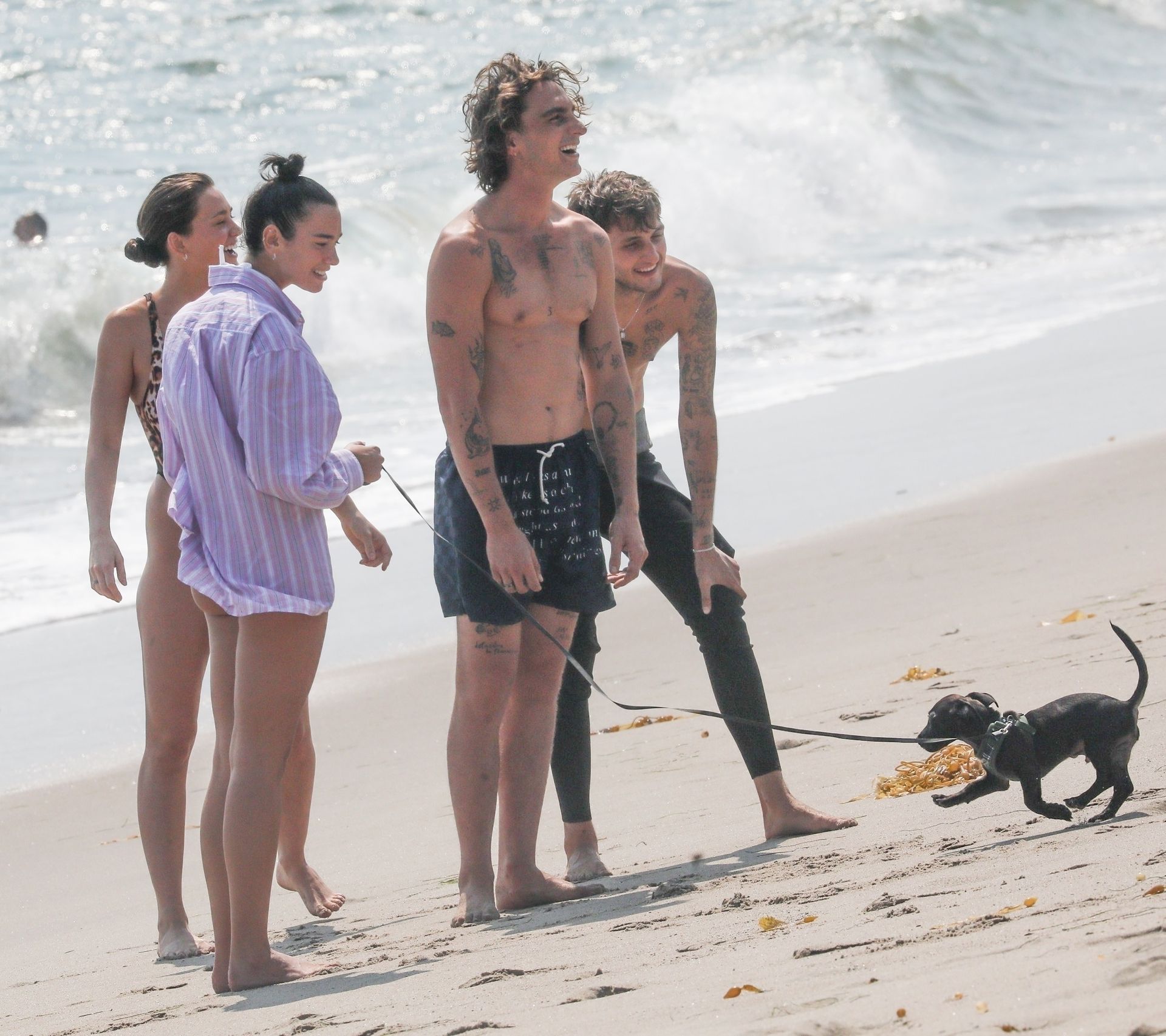 Dua Lipa  Anwar Hadid Take Their New Puppy
for a Walk Along the Shores of Malibu (57 Photos)