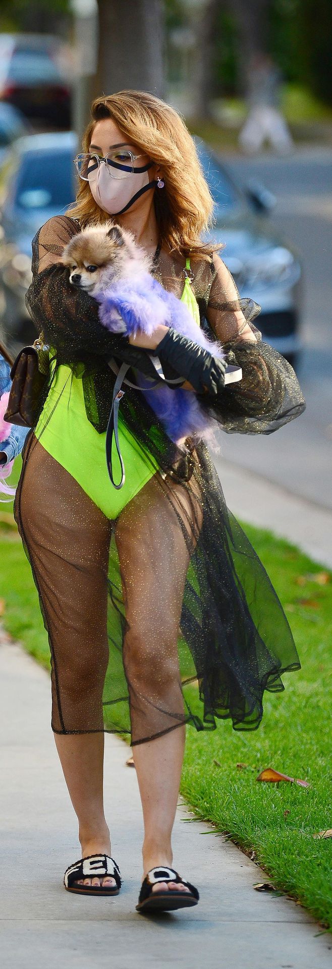 Farrah Abraham Reveals All in a Skimpy Bikini and Tutu (24 Photos)