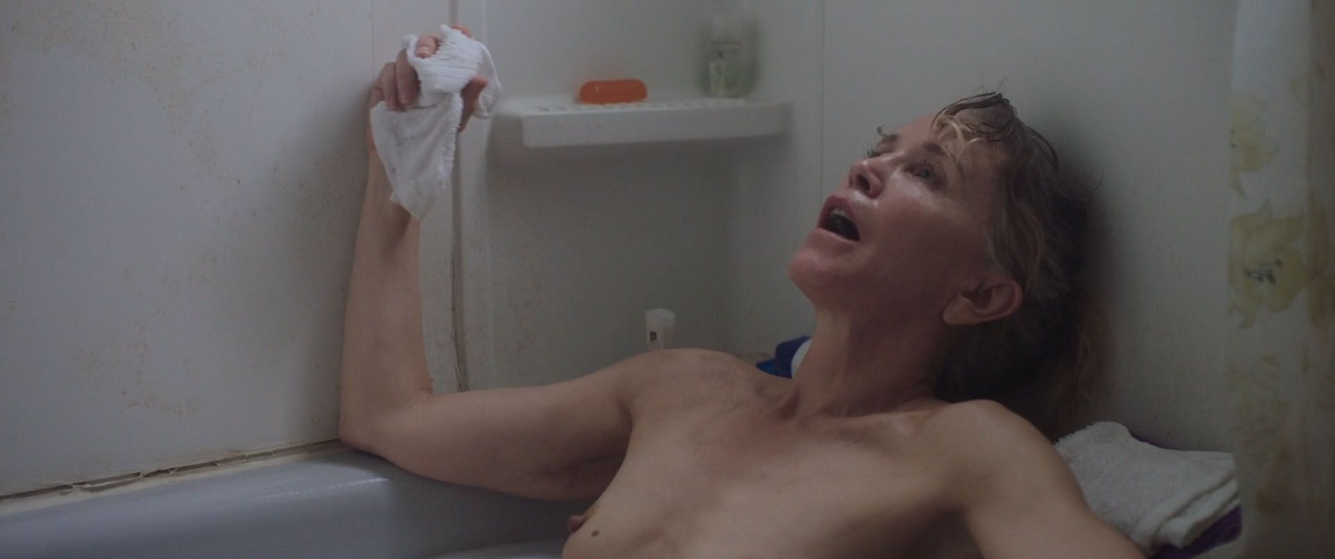 Felicity Huffman Nude - Tammy’s Always Dying (17 Pics + Video)