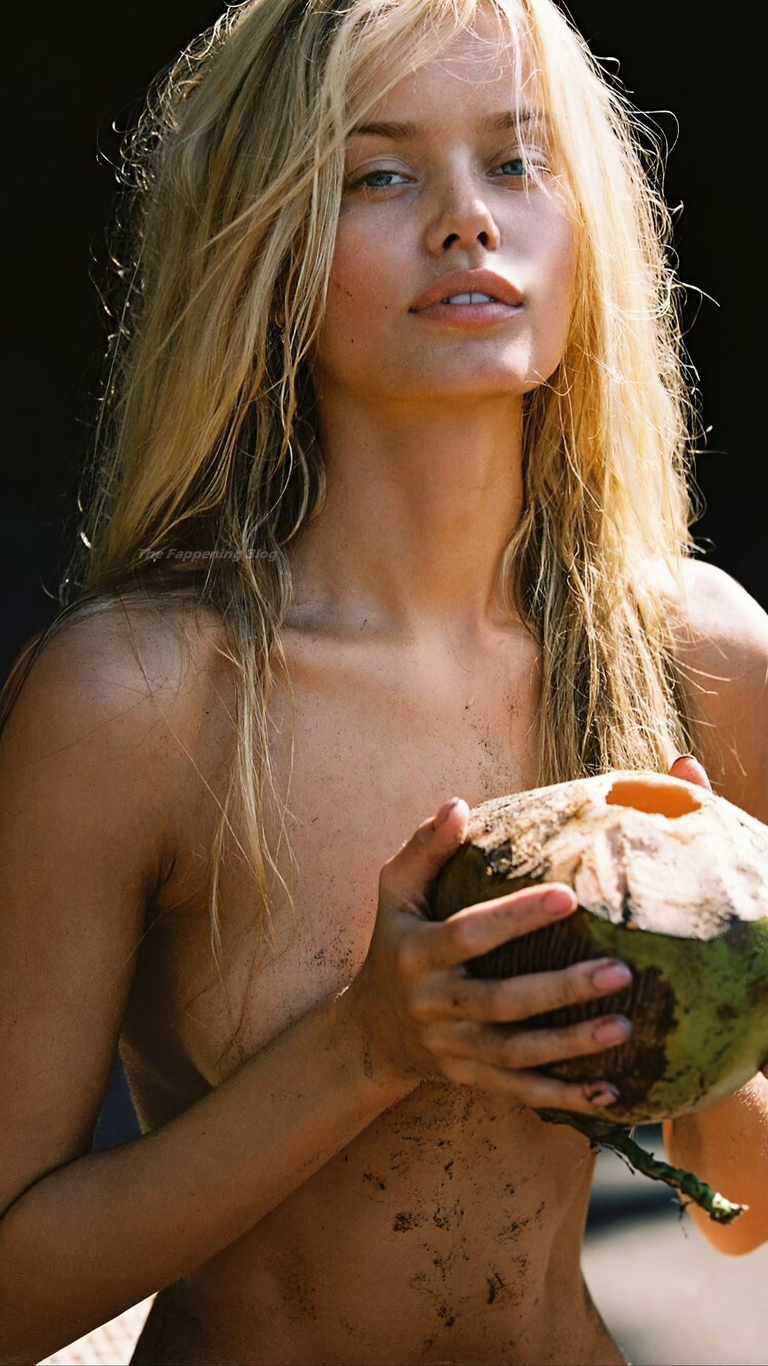 Frida Aasen Sexy  Topless (38 Photos)
