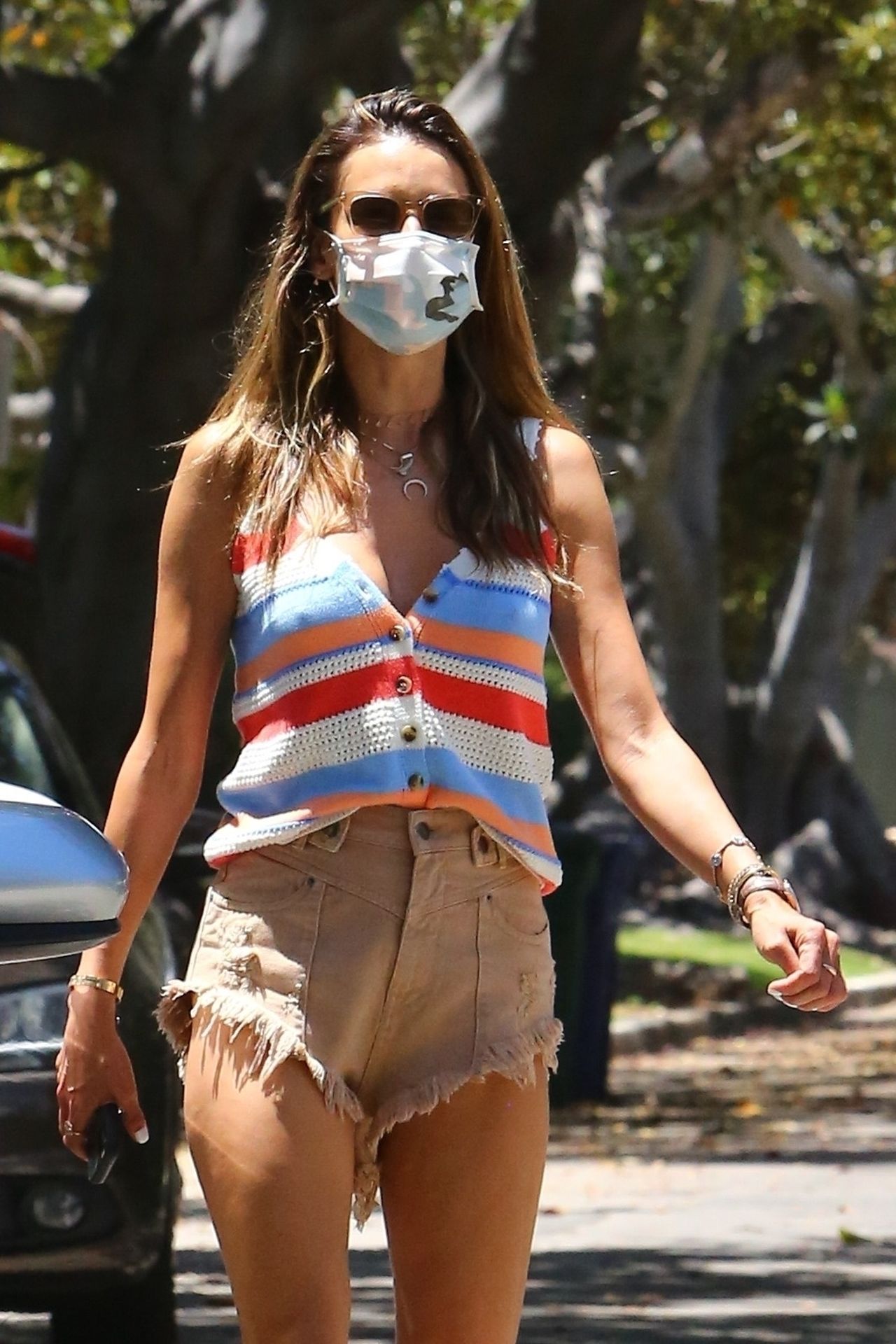 Leggy Alessandra Ambrosio Takes the Dog for a Walk with Her Daughter (85 Photos)