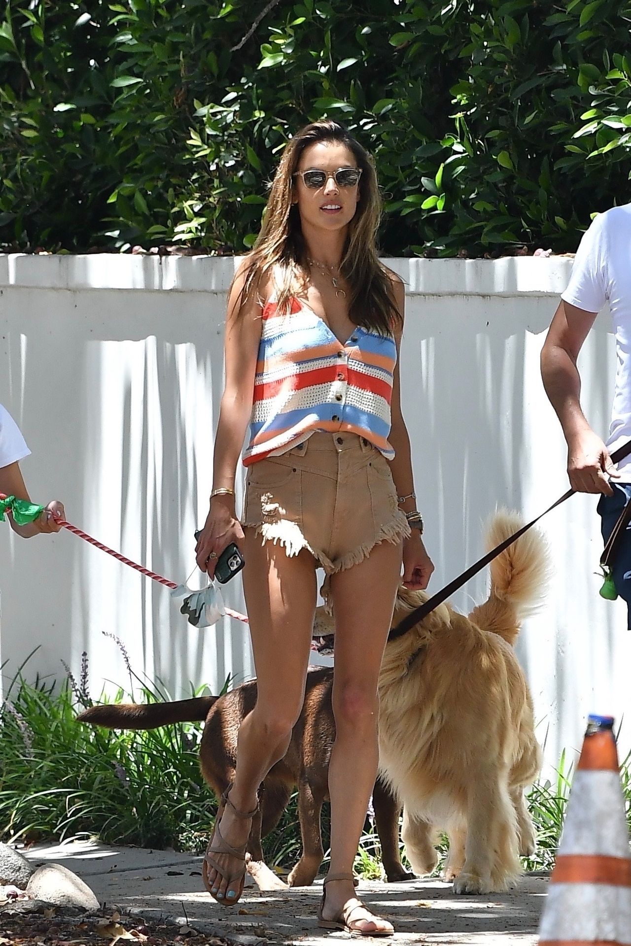 Leggy Alessandra Ambrosio Takes the Dog for a Walk with Her Daughter (85 Photos)