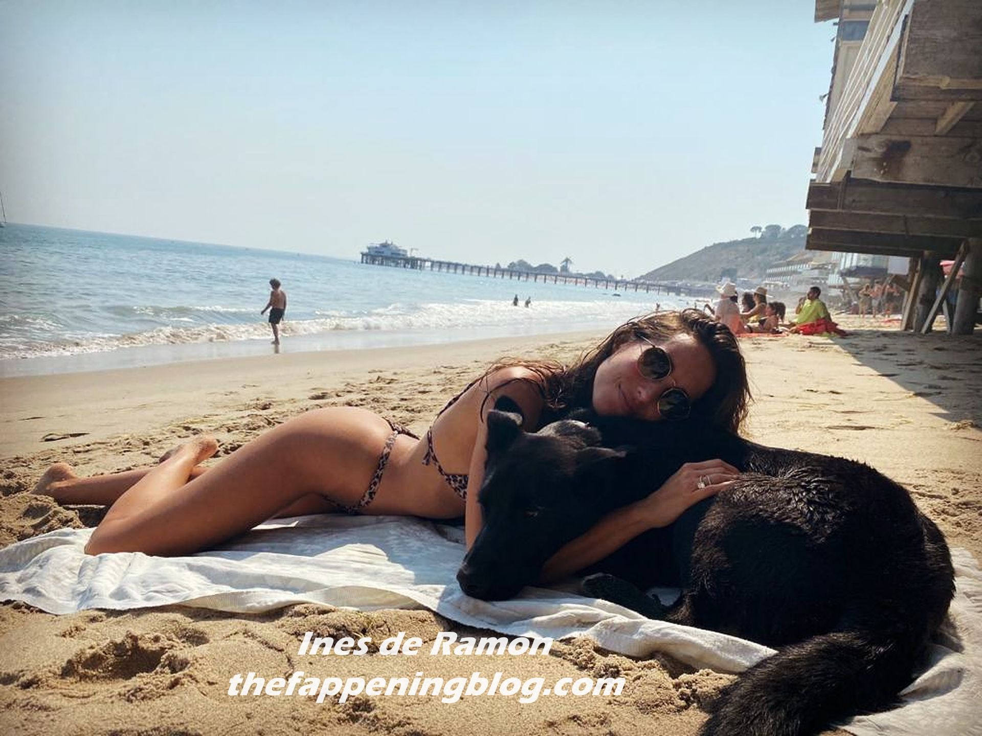 Ines de Ramon Shows Off Her Sexy Beach Body (16 Photos)