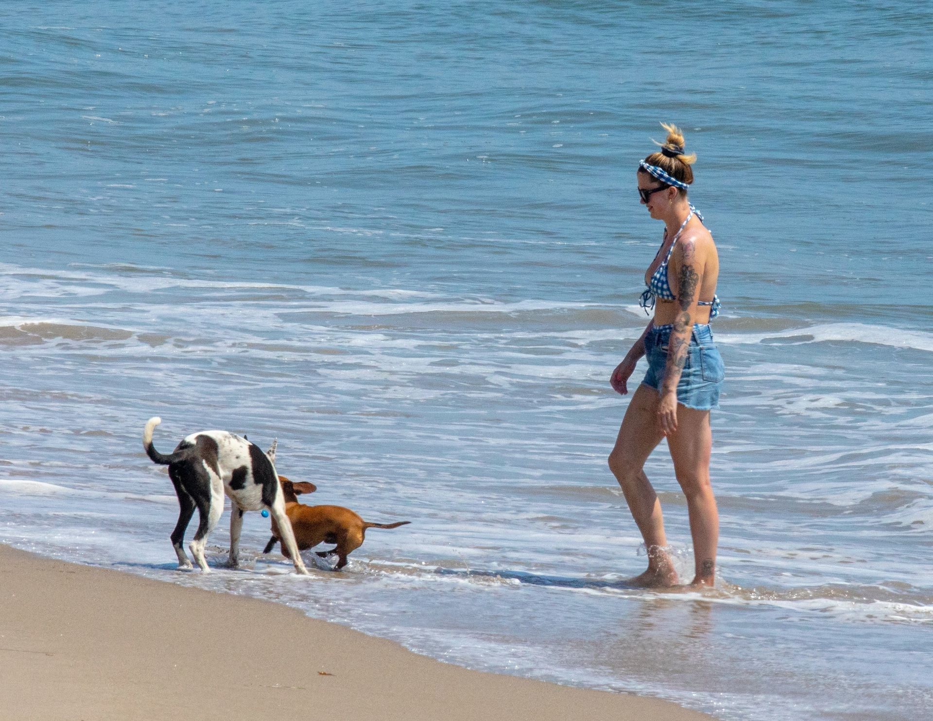 Ireland Baldwin & Boyfriend Corey Harper Go on a Beach Date in Malibu (88 Photos)