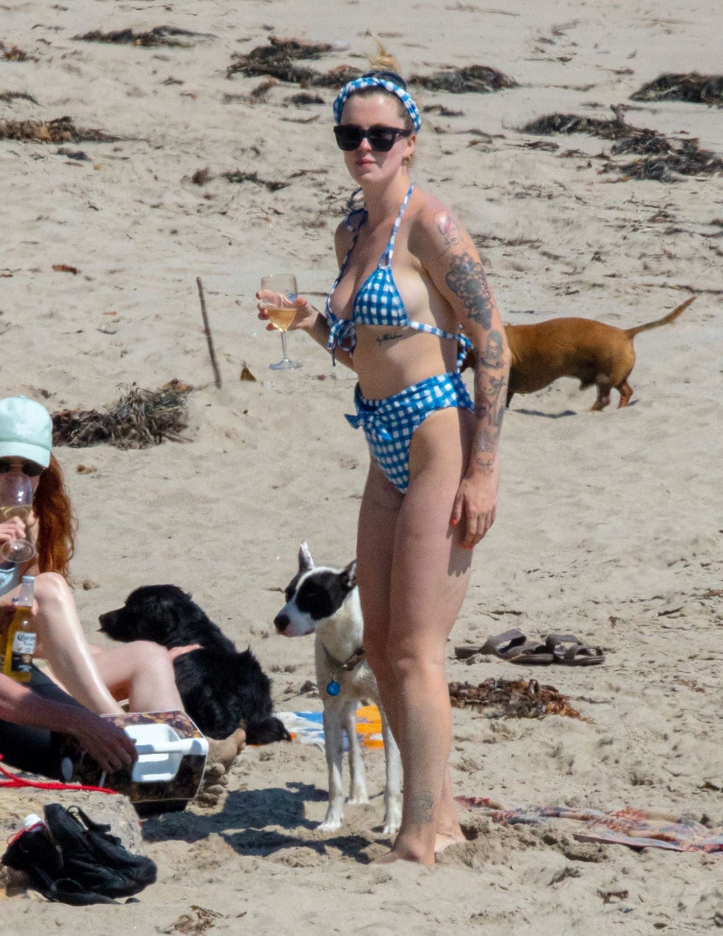 Ireland Baldwin & Boyfriend Corey Harper Go on a Beach Date in Malibu (88 Photos)