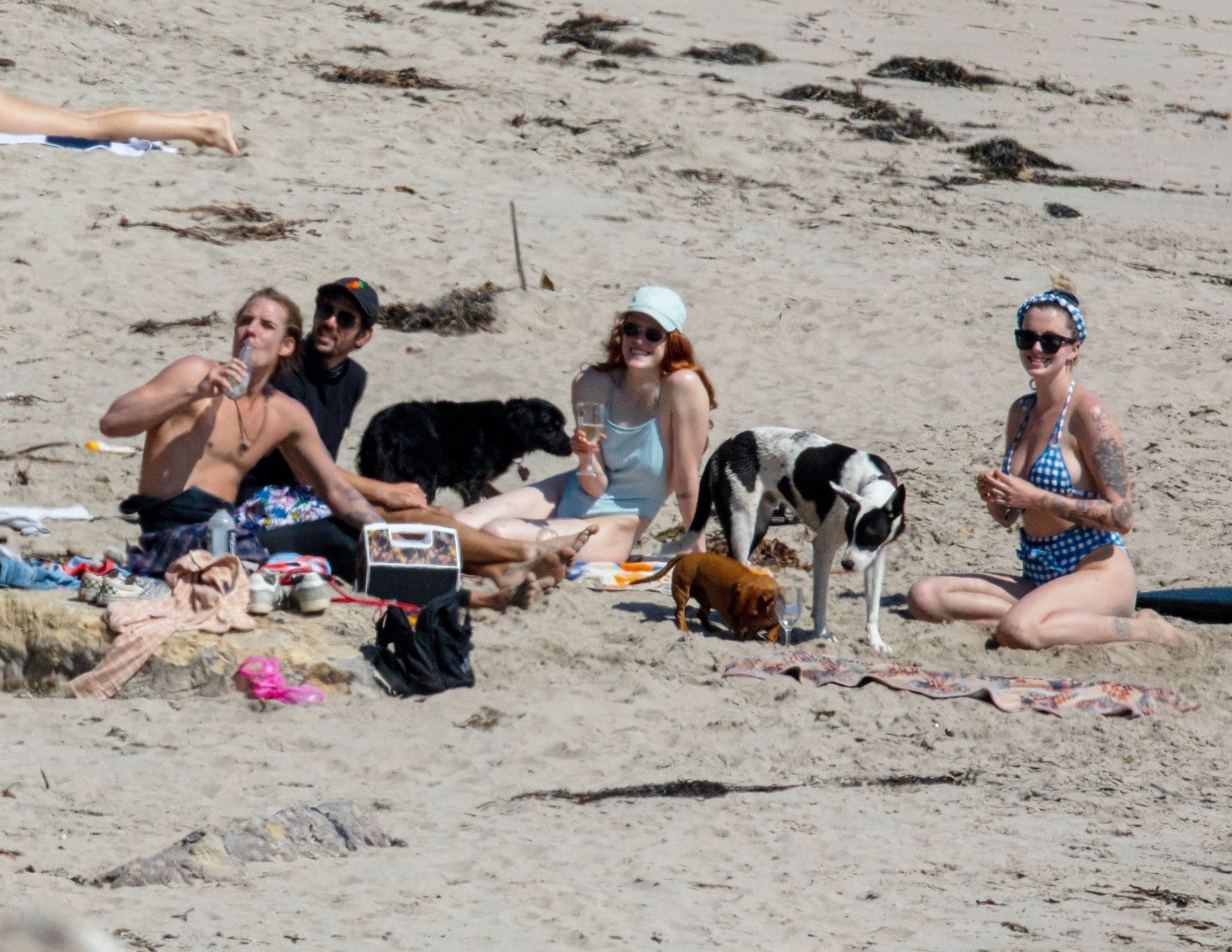 Ireland Baldwin & Boyfriend Corey Harper Go on a Beach Date in Malibu (88 Photos)