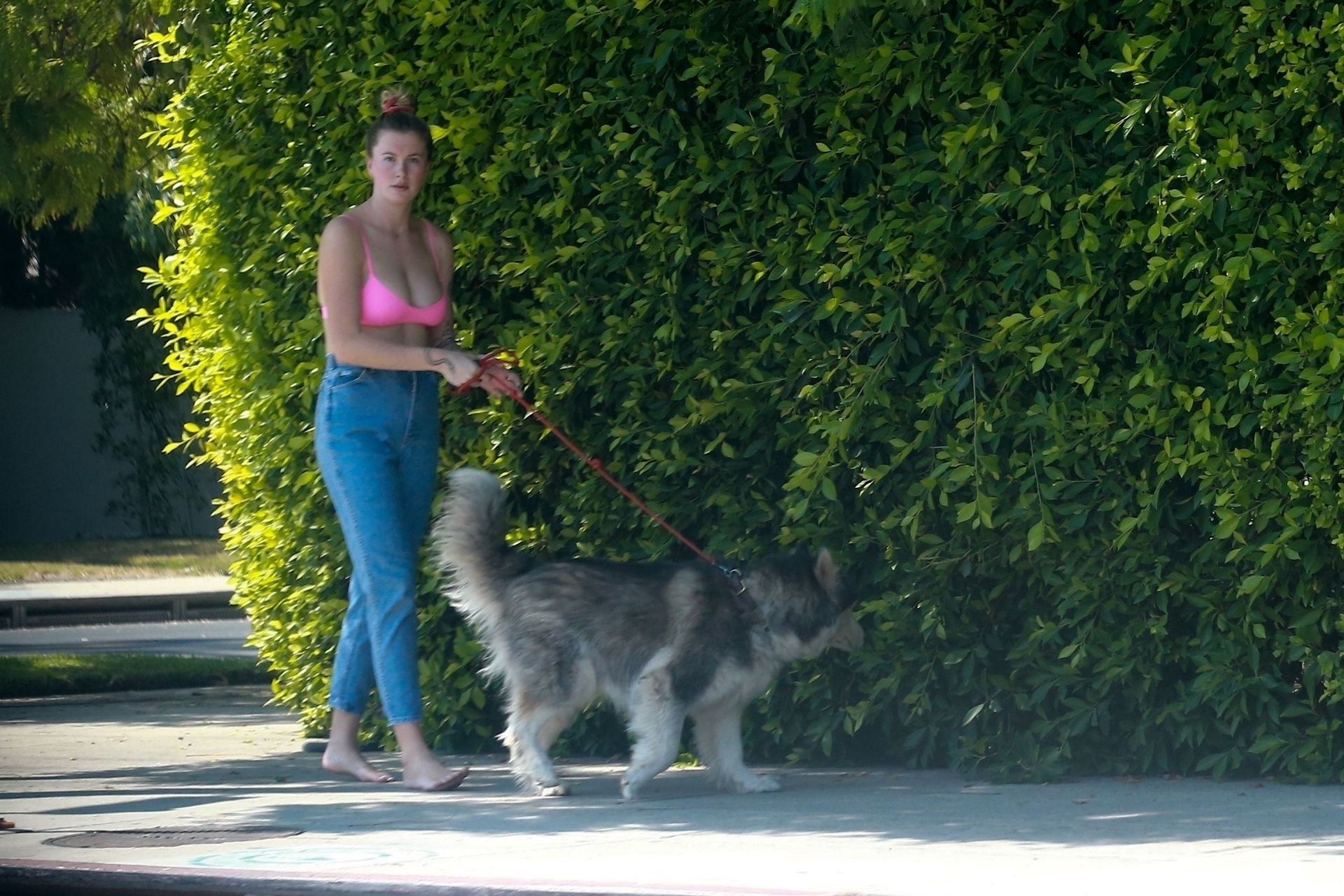 Ireland Baldwin Takes Her Dog for a Walk Around Her Neighborhood (13 Photos)