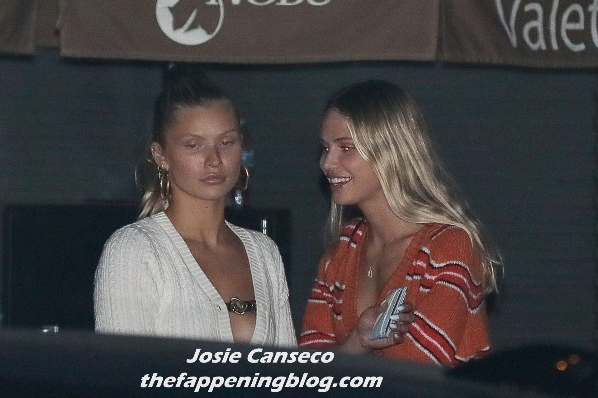 Josie Canseco Grabs Dinner with a Friend at Nobu (32 Photos)