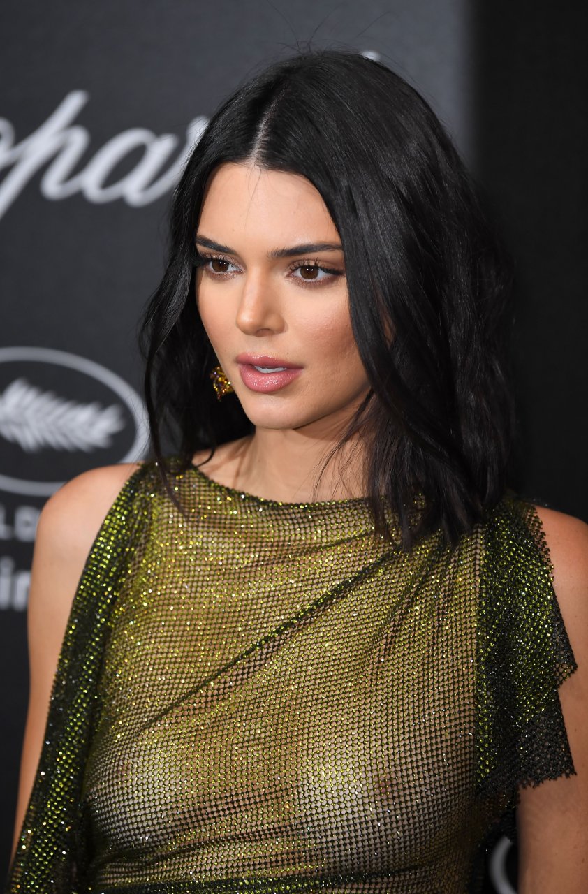 Kendall Jenner See Through (37 Photos + GIF & Video)