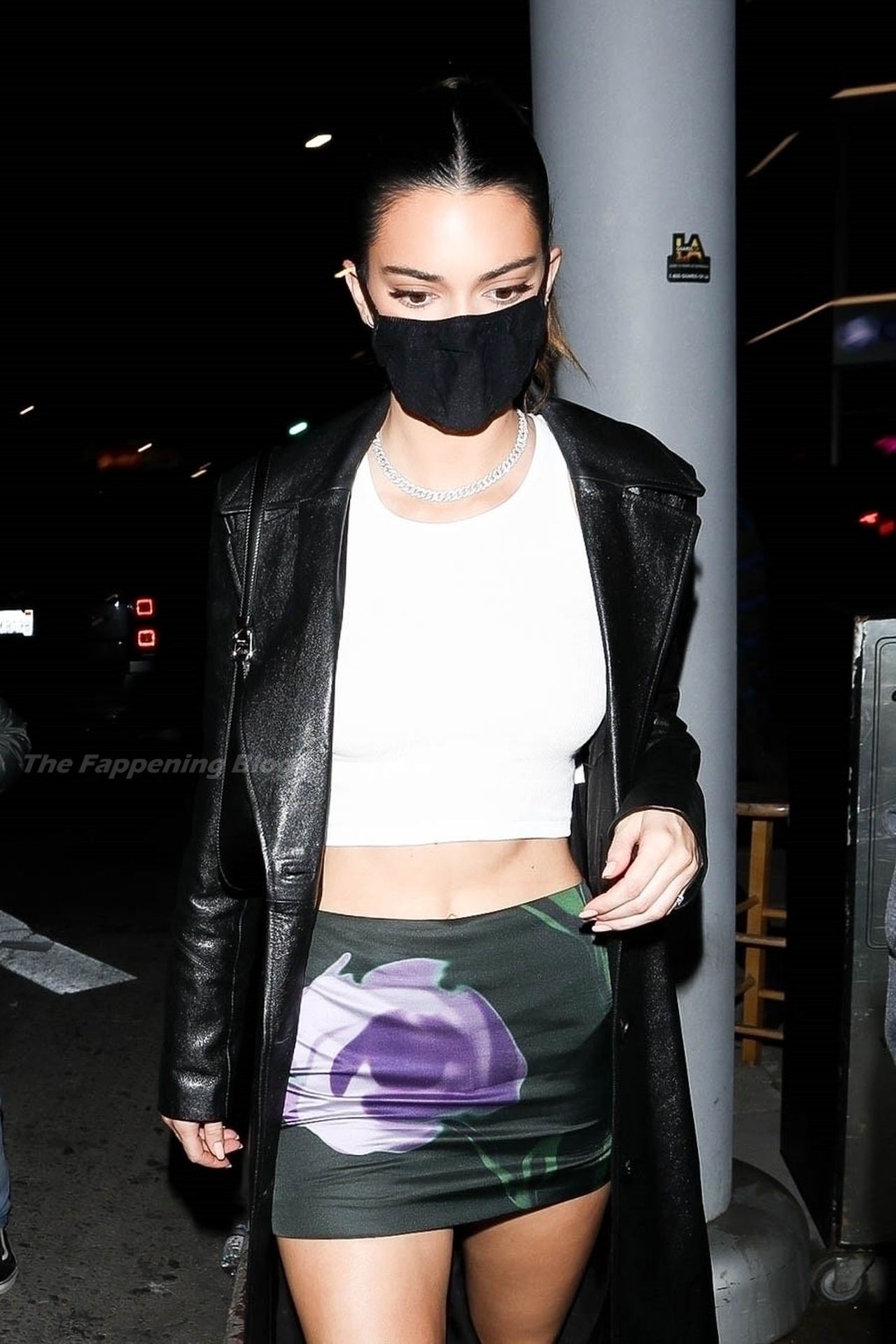 Kendall Jenner Steps Out with Justine Skye for Dinner at The Nice Guy (49 Photos)