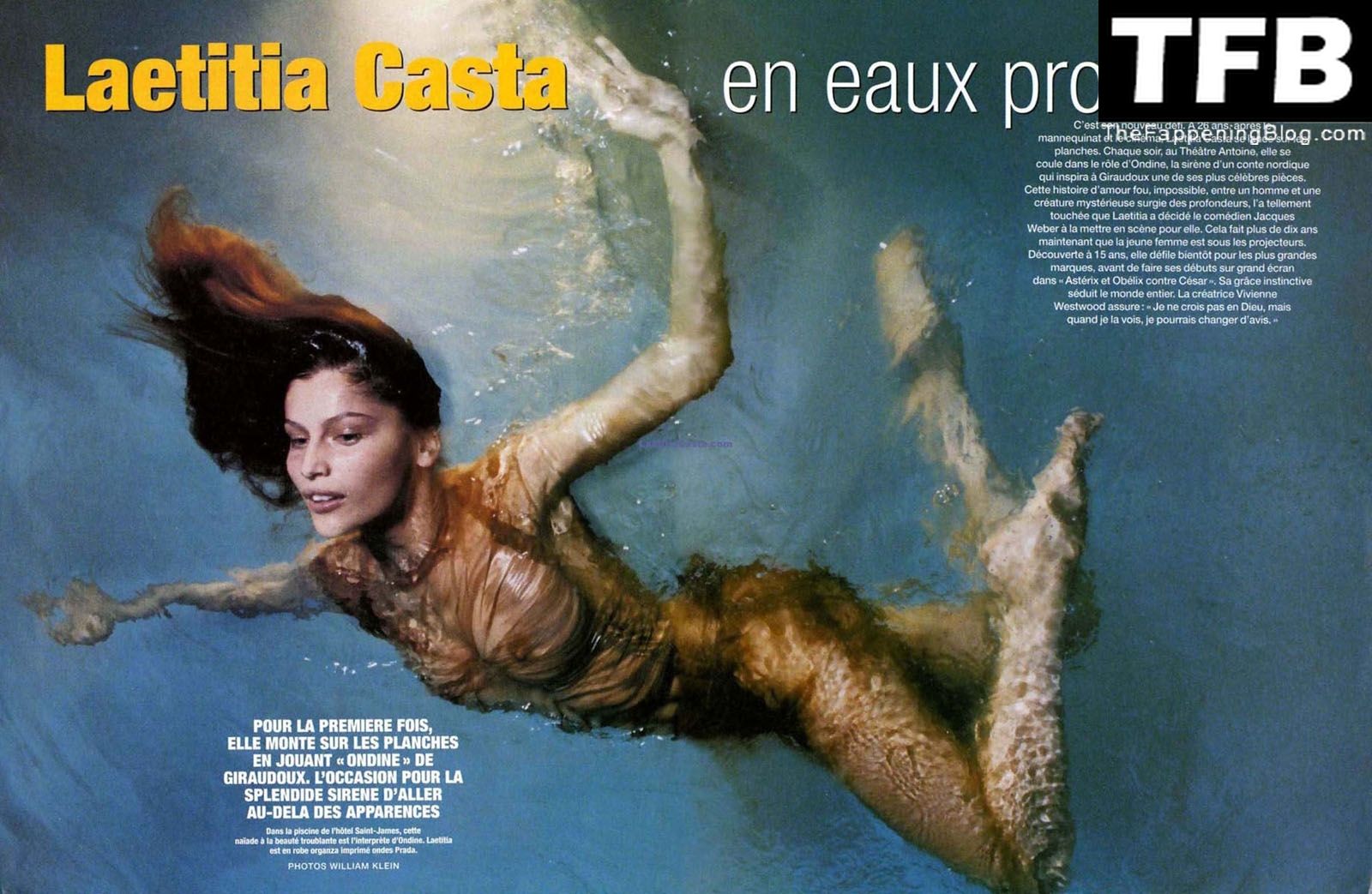 Laetitia Casta Nude & Sexy Collection (133 Photos)