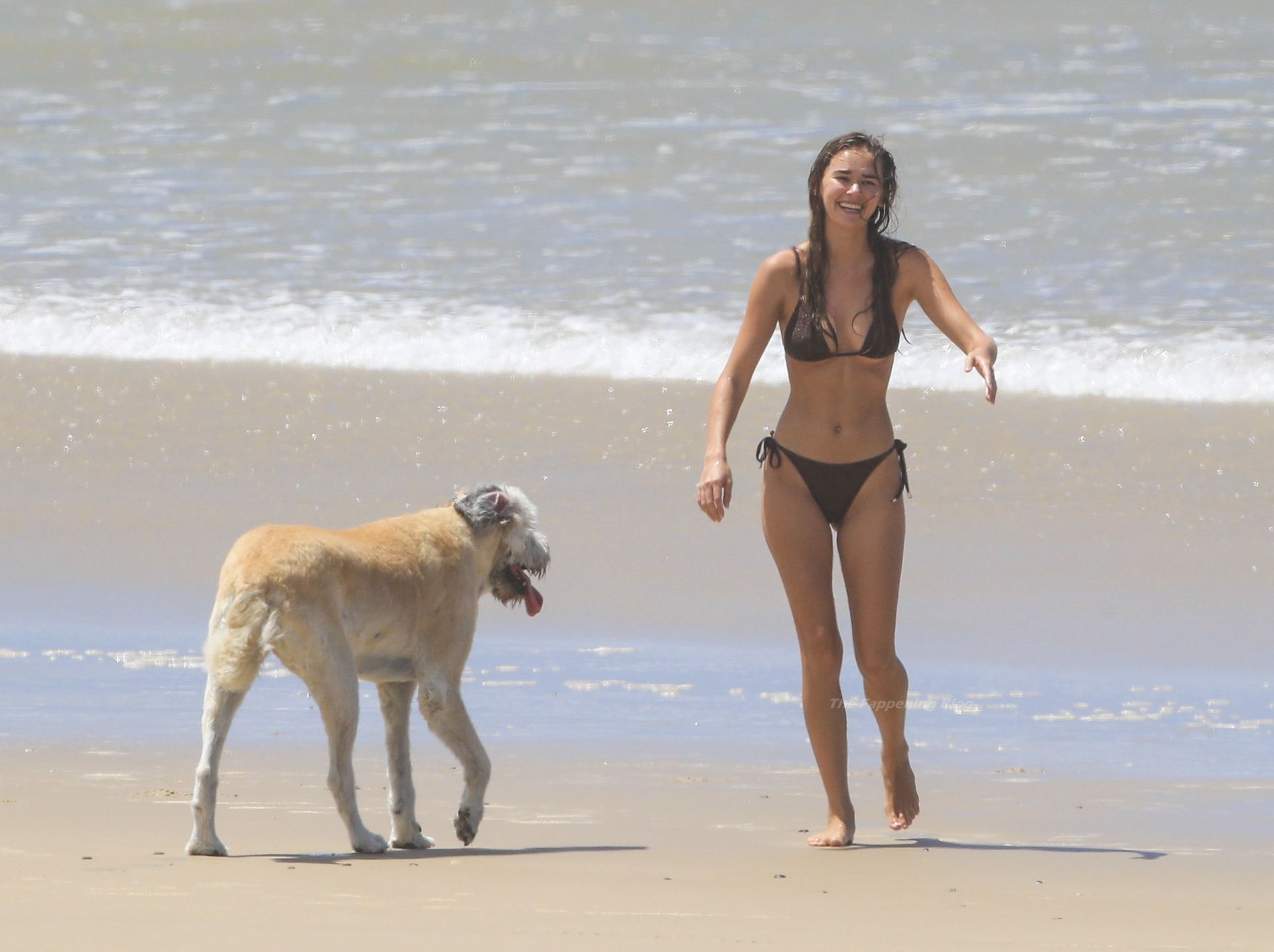 Liam Hemsworth & Gabriella Brooks Head to the Beach with Their Dogs (59 Photos)