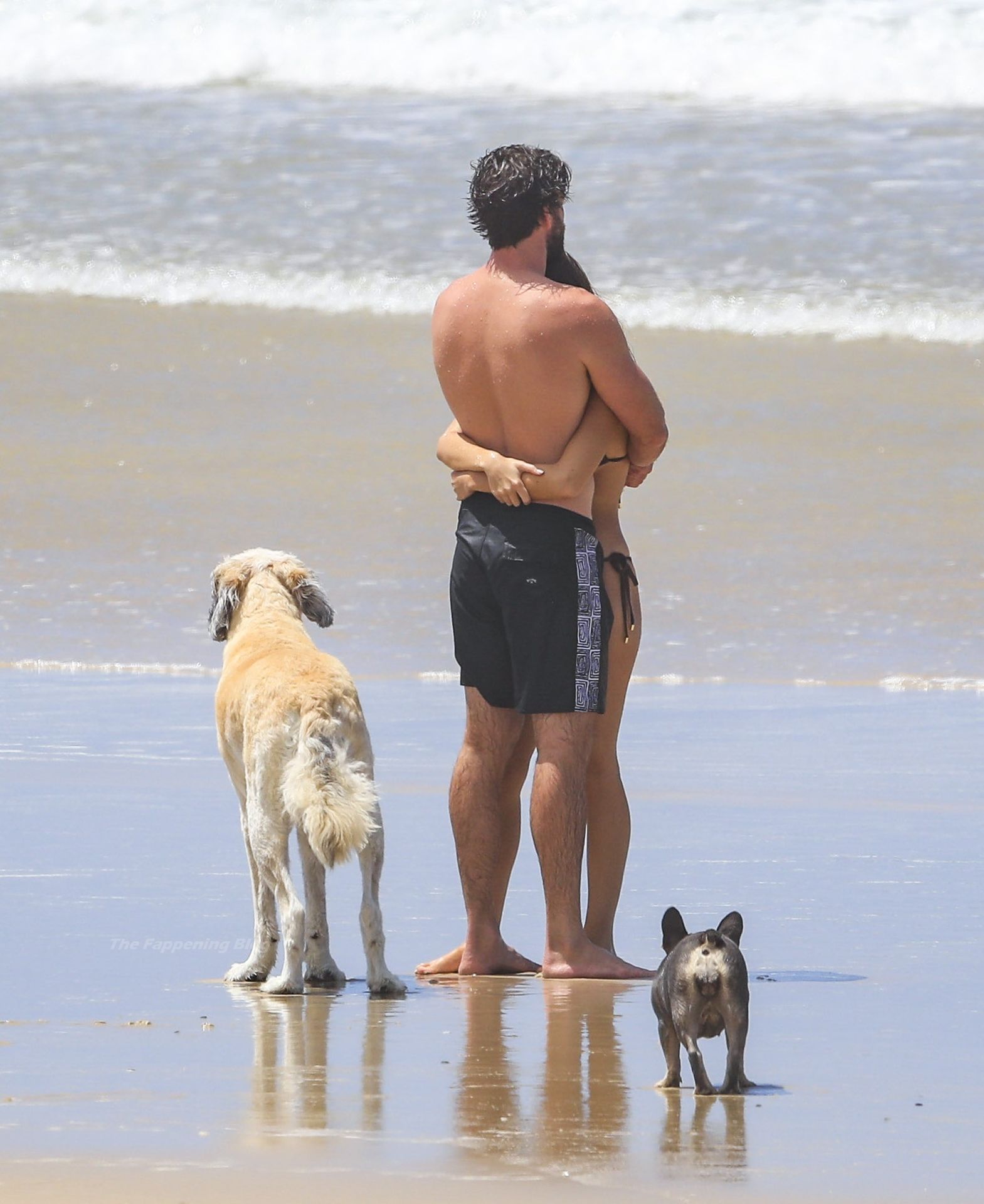 Liam Hemsworth & Gabriella Brooks Head to the Beach with Their Dogs (59 Photos)