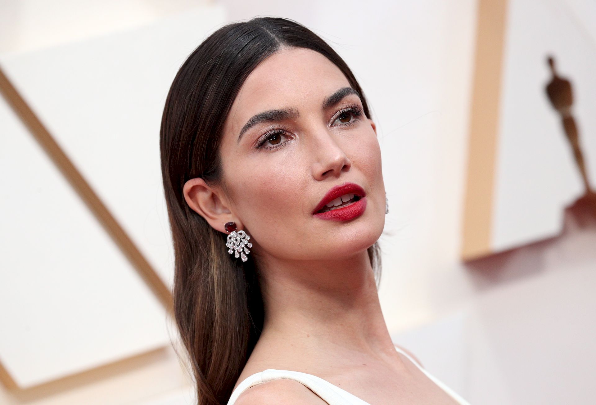 Lily Aldridge Arrives to the 92nd Academy Awards (26 Photos)