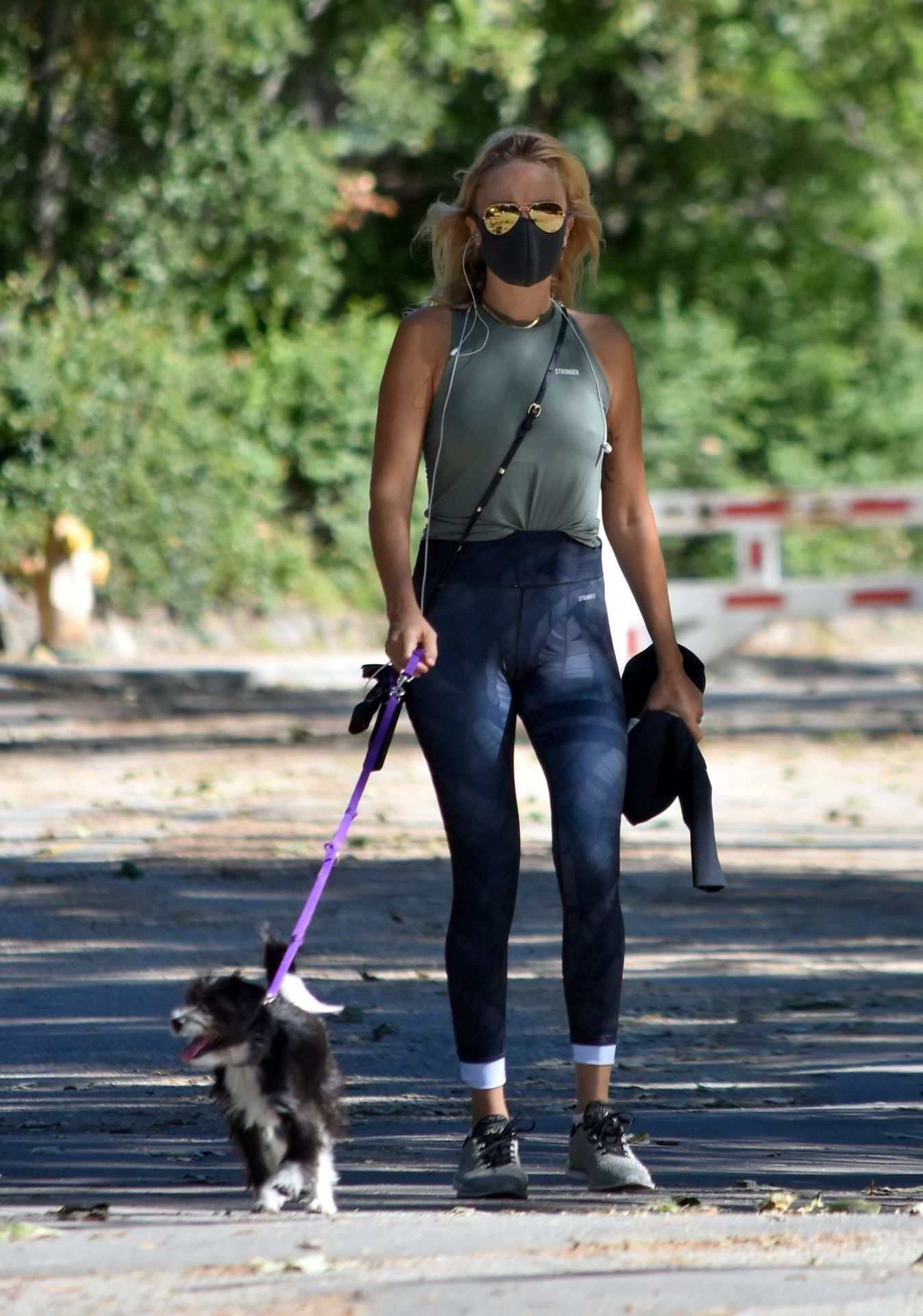 Malin Akerman Goes on a Walk with Her Dog in Los Feliz (22 Photos)