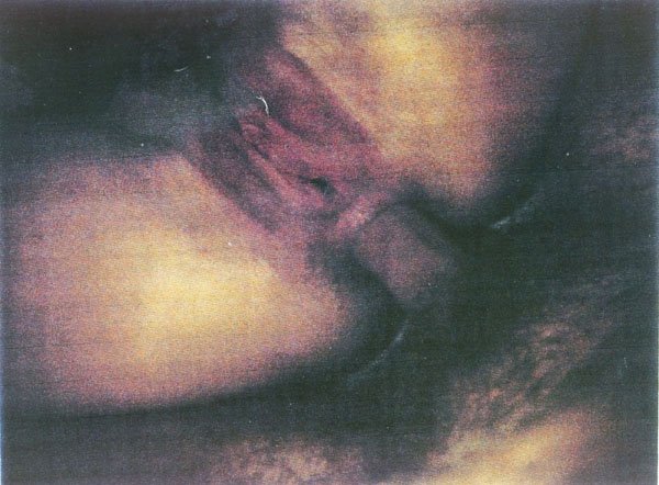 Paula Yates & Michael Hutchence Naked (3 Photos)
