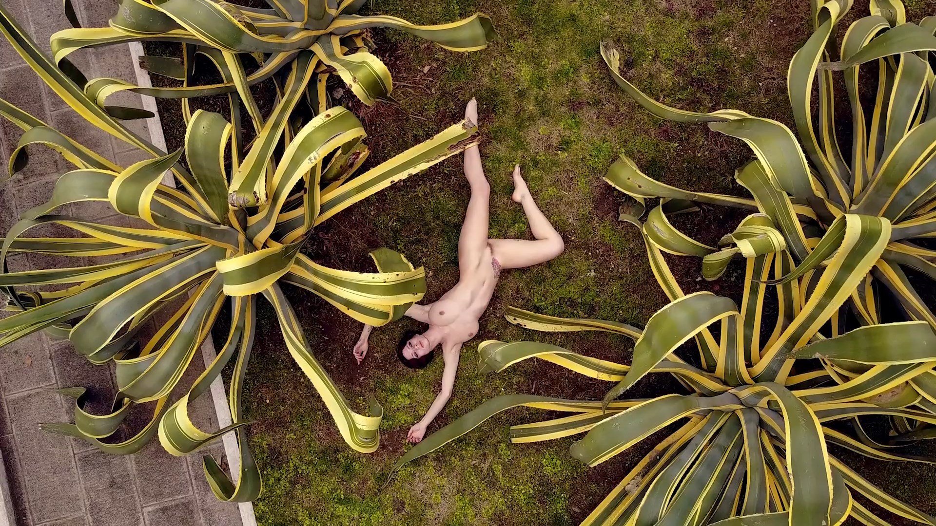 Natasha Legeyda Nude & Sexy (43 Pics + Video)