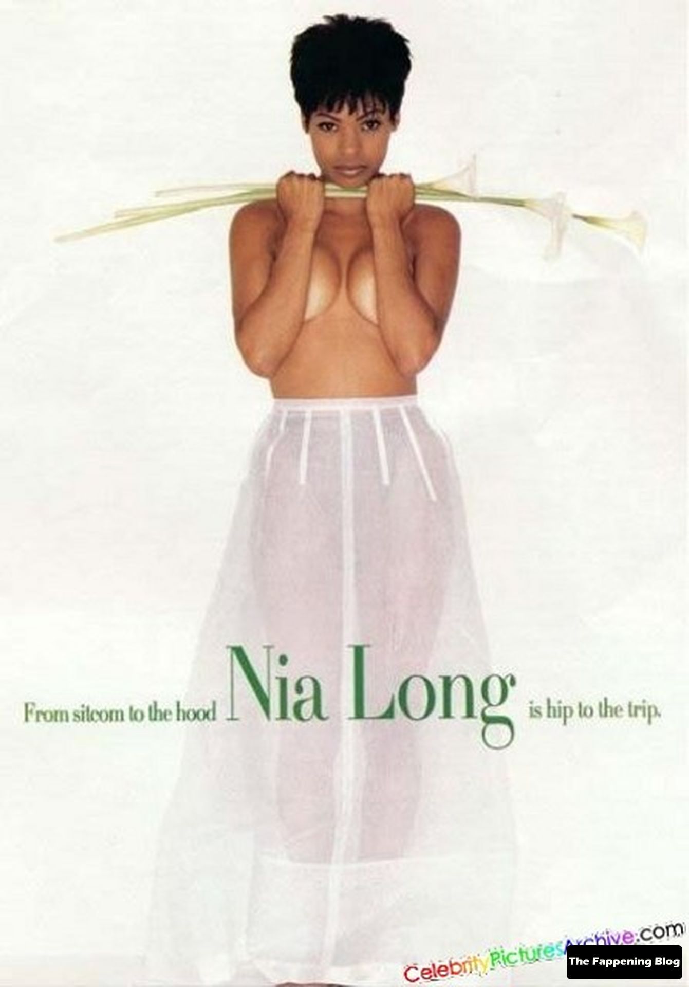 Nia Long Nude & Sexy Collection (65 Photos)