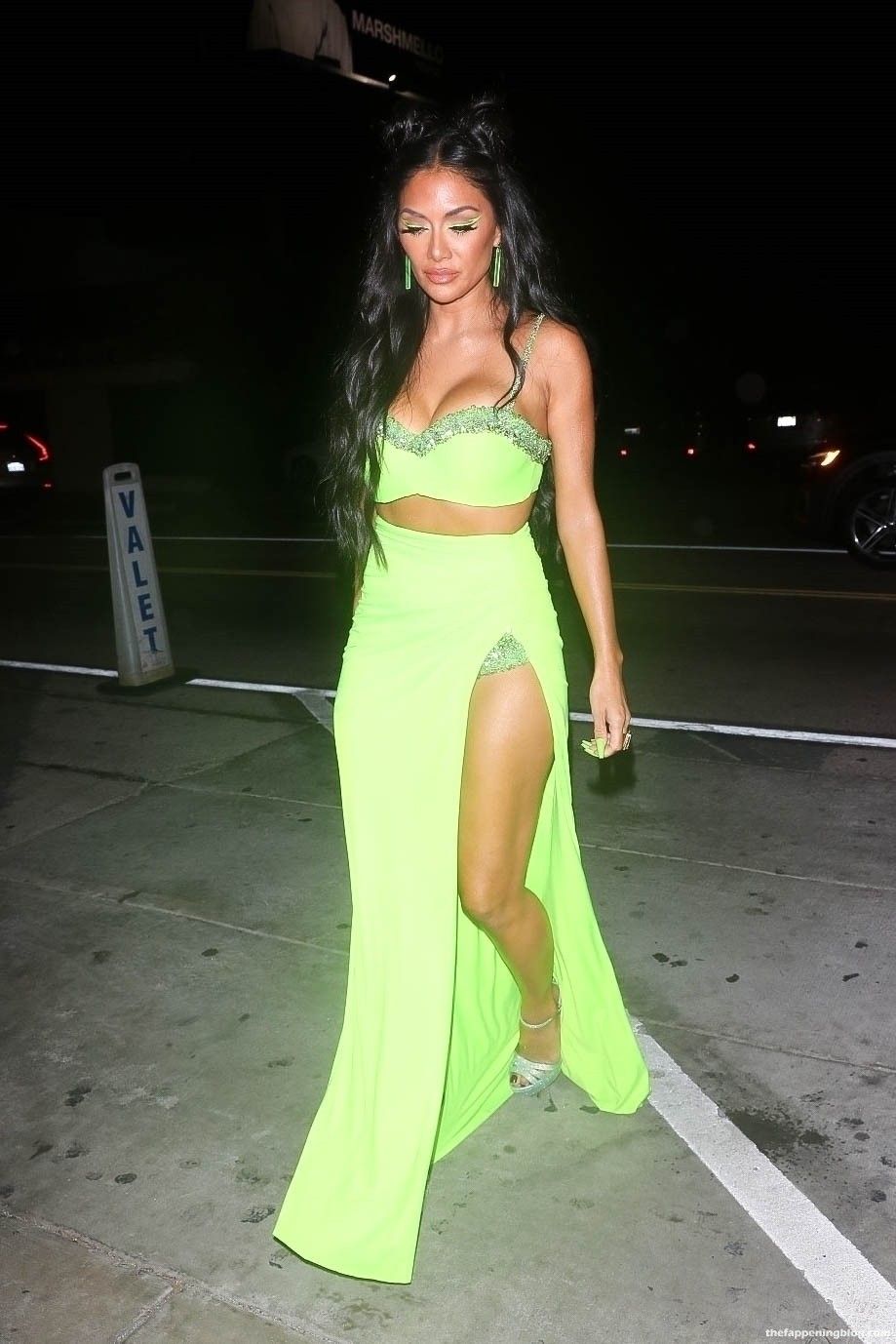 Nicole Scherzinger Wows in a Neon Green Crop-Top in LA (26 Photos)