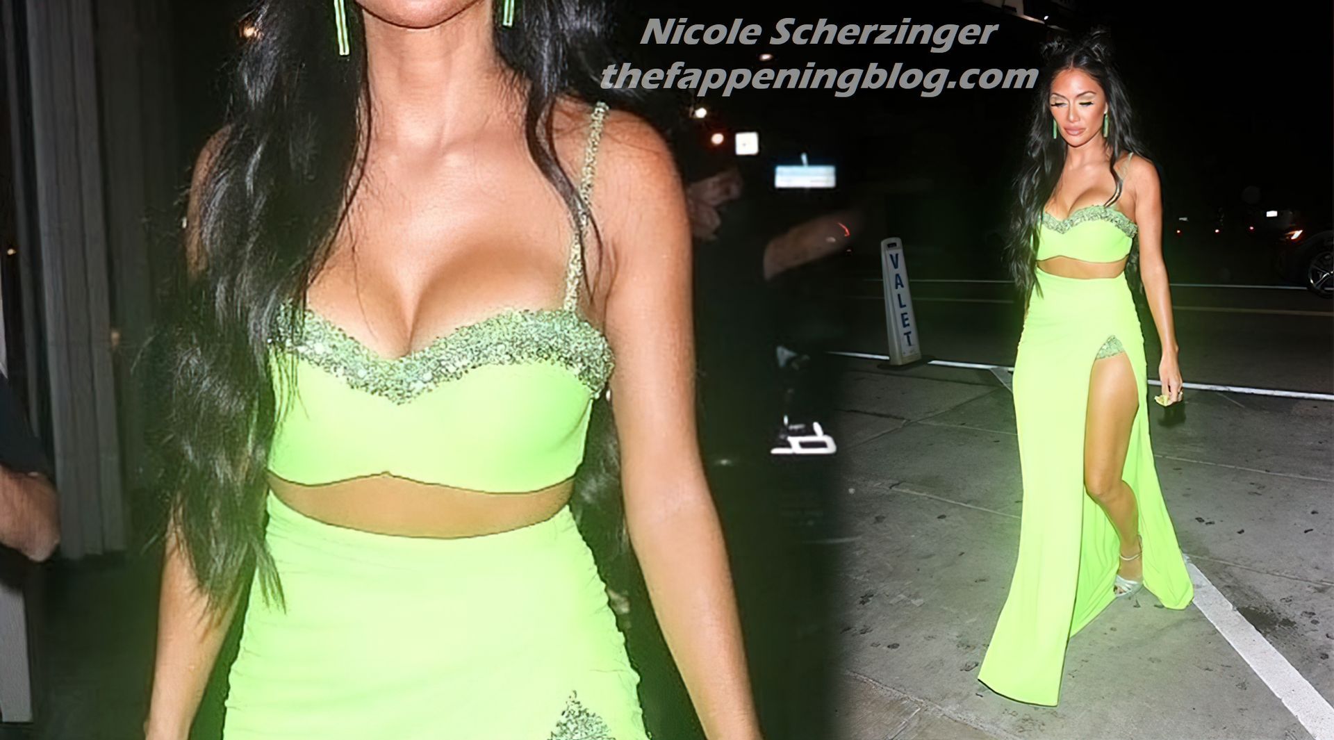 Nicole Scherzinger Wows in a Neon Green Crop-Top in LA (26 Photos)