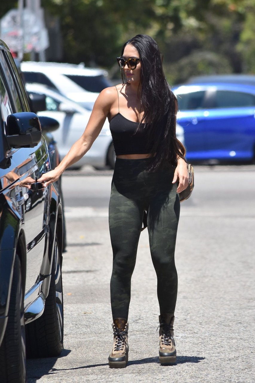 Nikki Bella Braless (66 Photos)