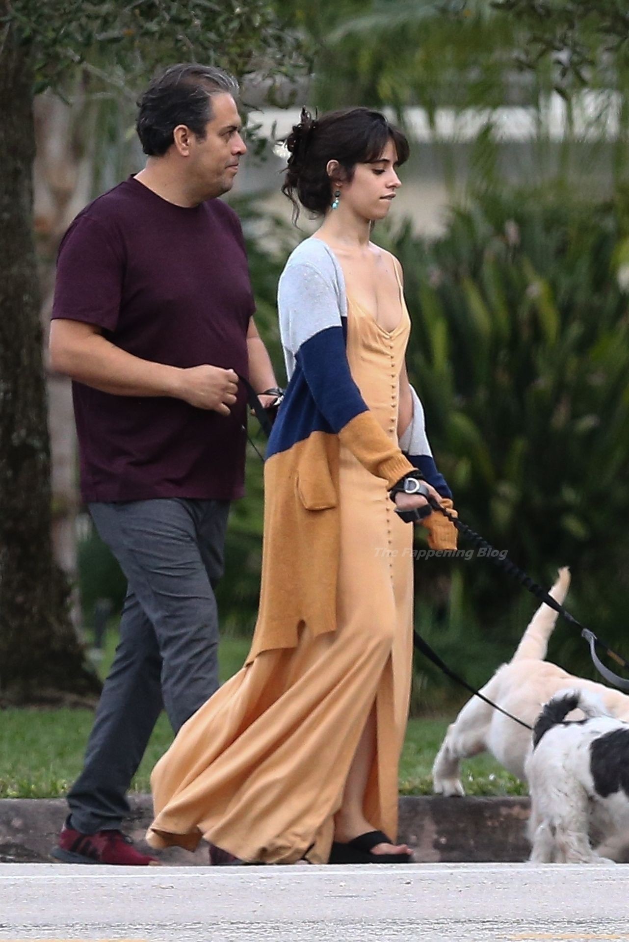Shawn Mendes & Camila Cabello Keep a Tight Hold on Their Dogs During a Walk (27 Photos)