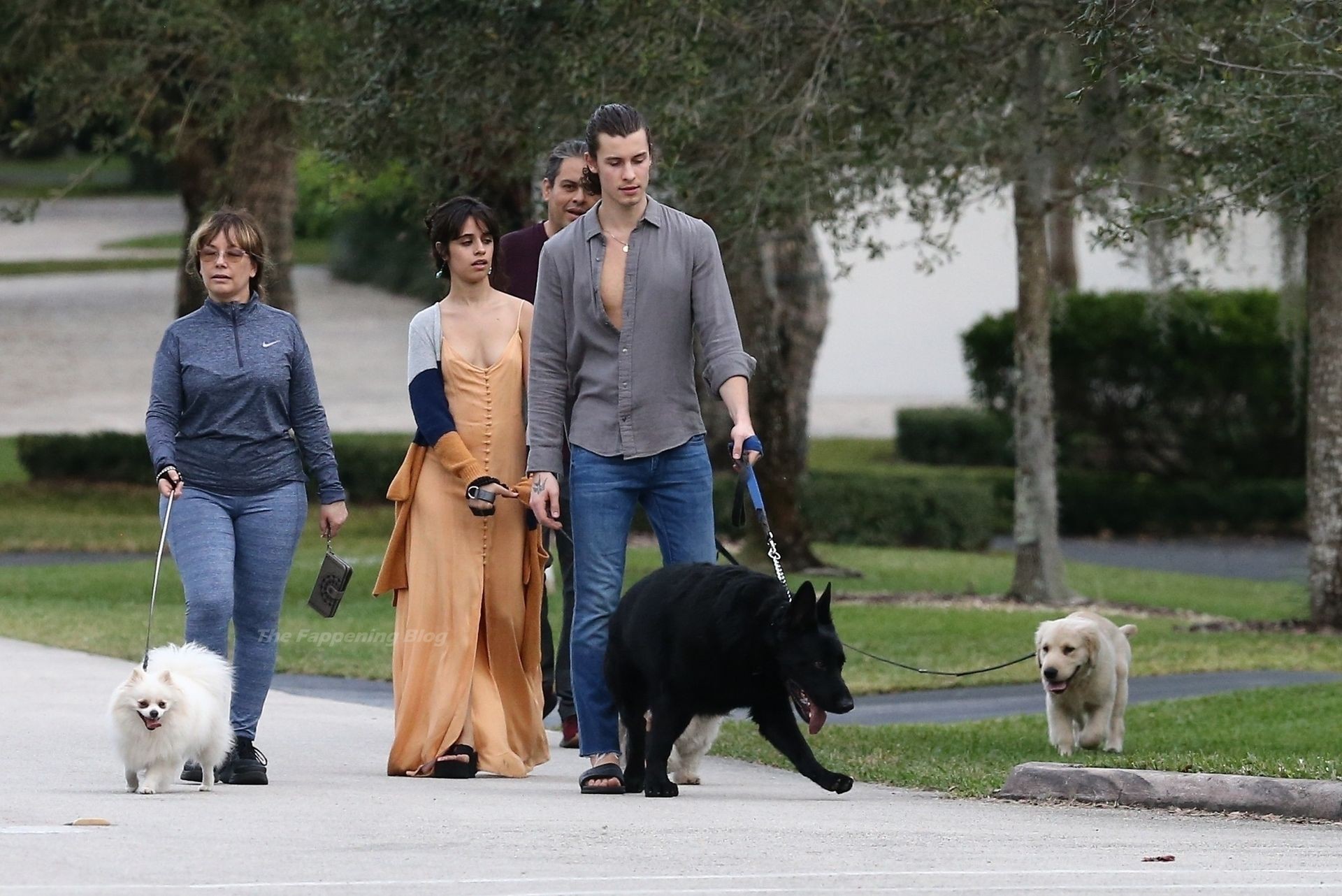 Shawn Mendes & Camila Cabello Keep a Tight Hold on Their Dogs During a Walk (27 Photos)