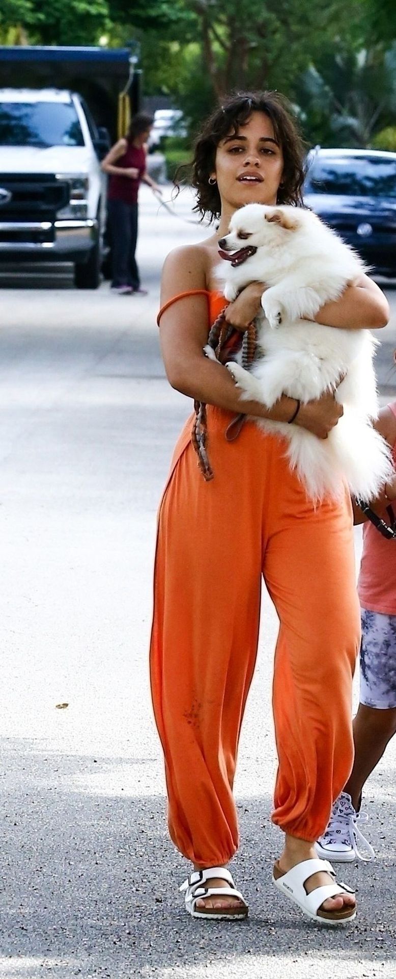 Shawn Mendes & Camila Cabello Struggle with their Dogs on a Walk (139 Photos)