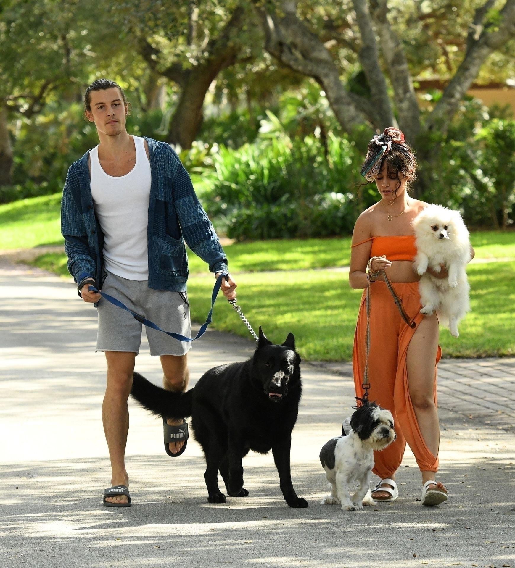 Shawn Mendes & Camila Cabello Struggle with their Dogs on a Walk (139 Photos)