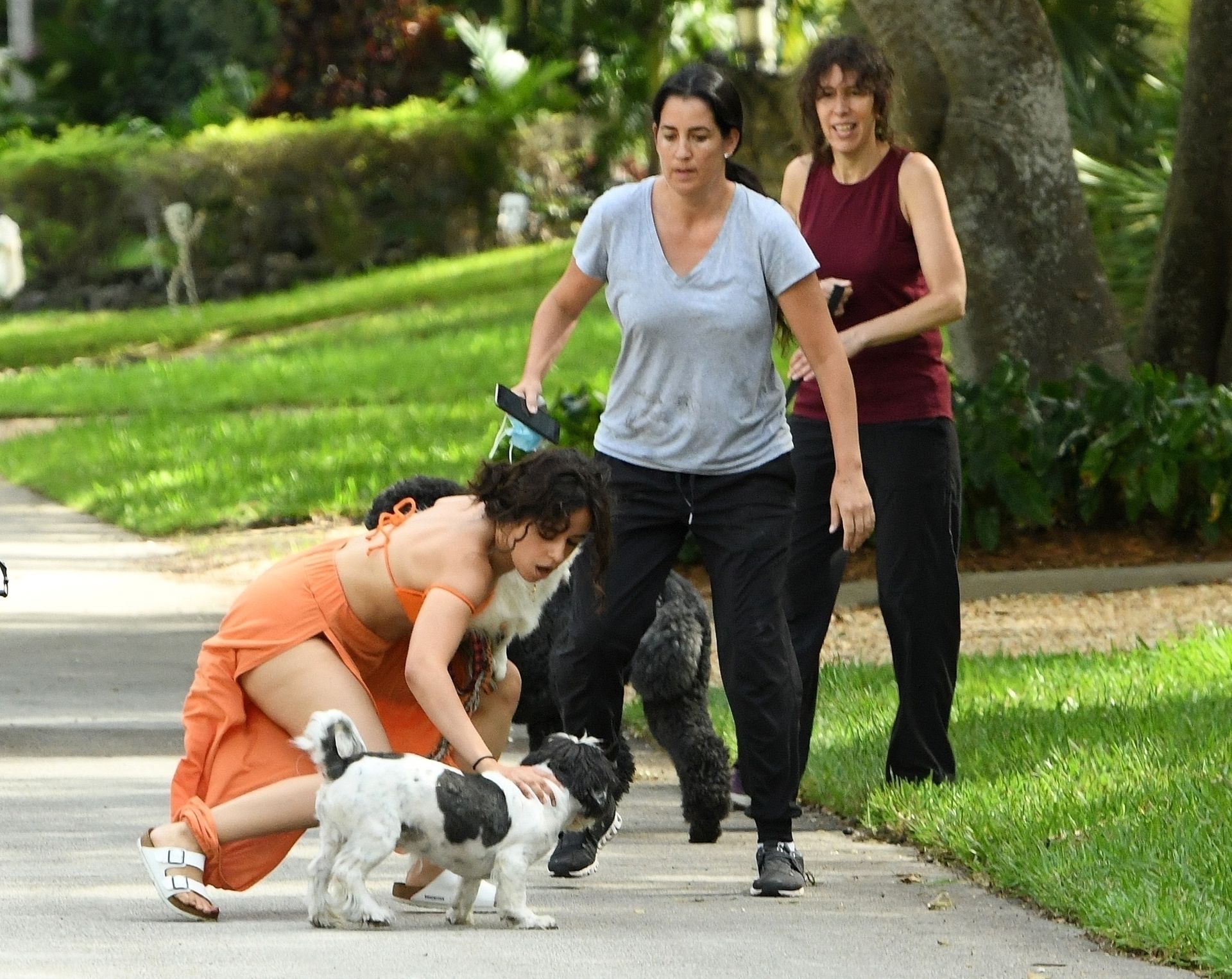 Shawn Mendes & Camila Cabello Struggle with their Dogs on a Walk (139 Photos)