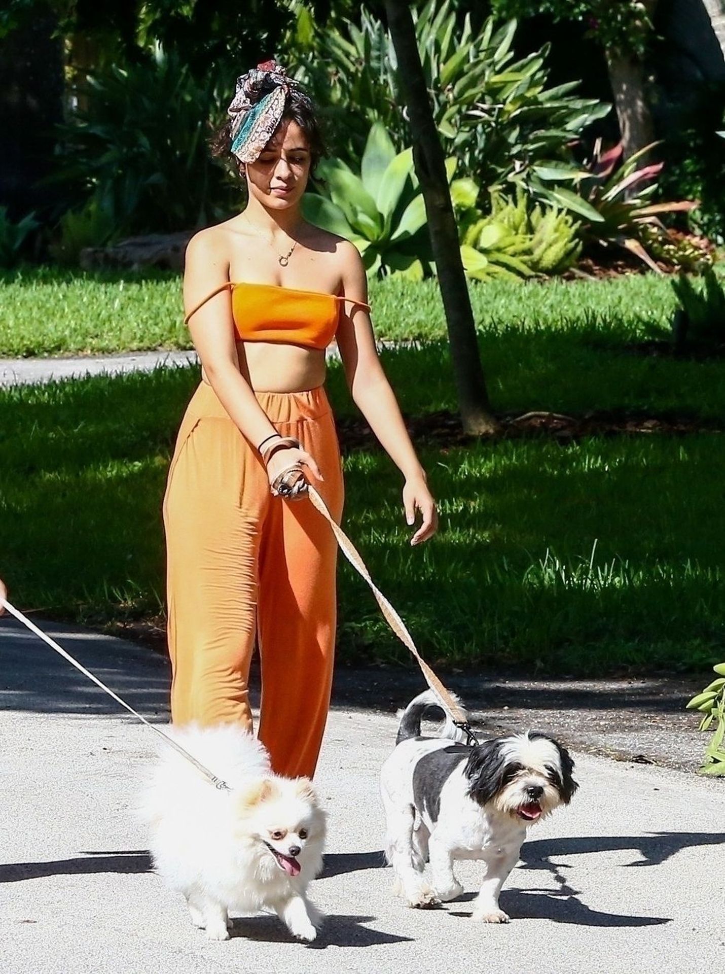 Shawn Mendes & Camila Cabello Struggle with their Dogs on a Walk (
139 Photos)