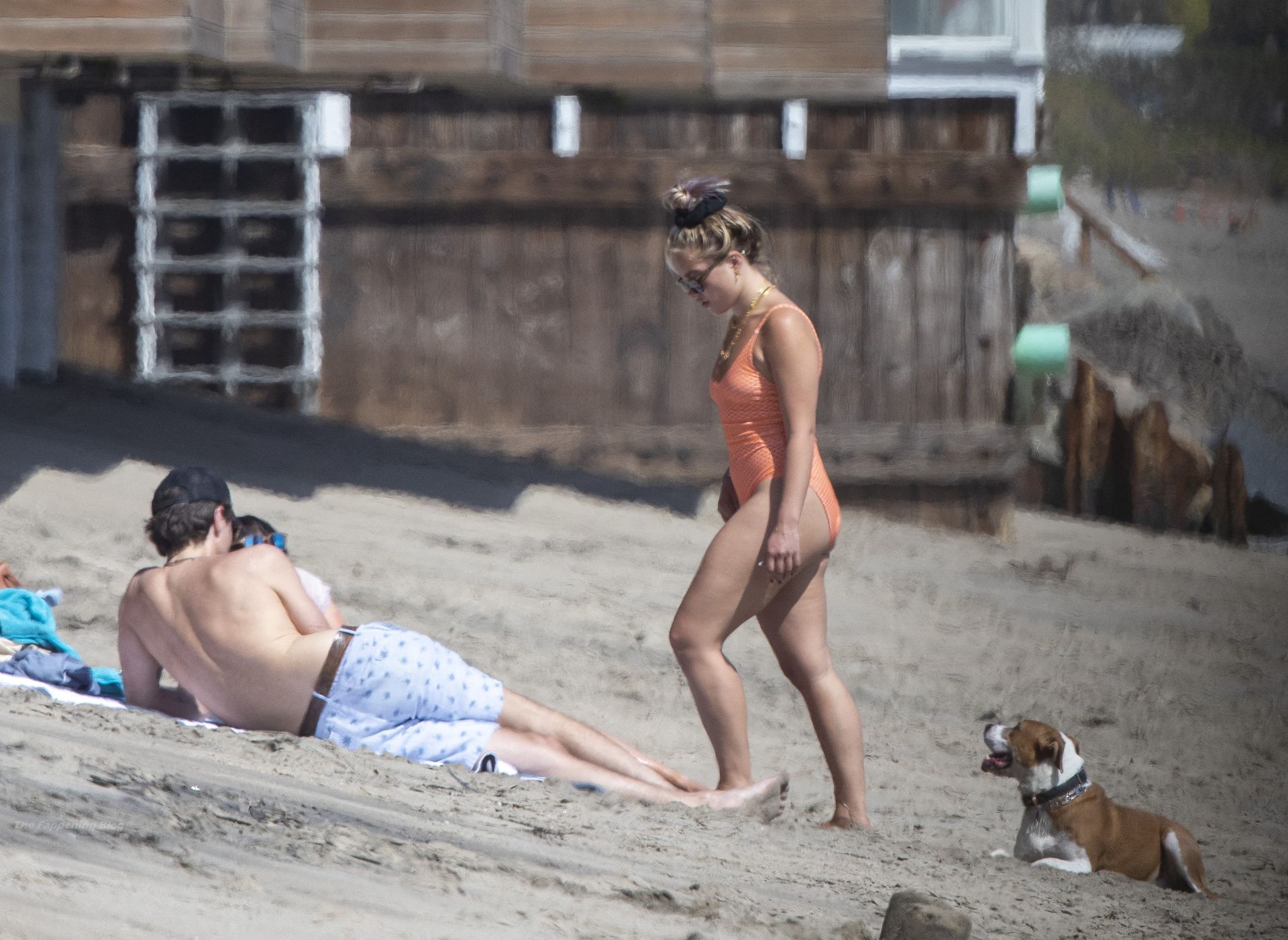 Zach Braff & Florence Pugh Hit the Beach in Malibu (53 Photos)