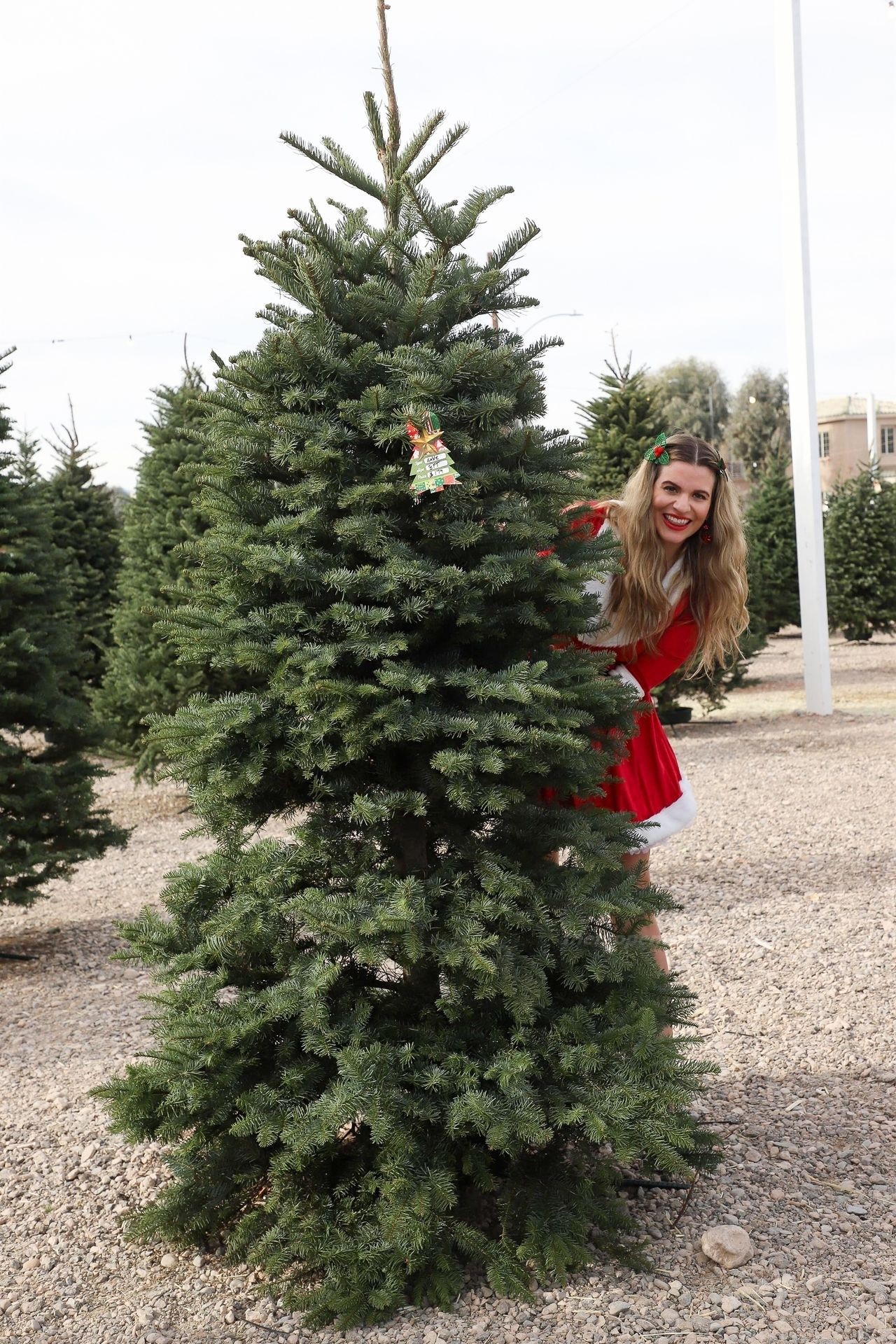 Rachel McCord Gets Into the Holiday Spirit While Out Shopping for a Christmas Tree (11 Photos)