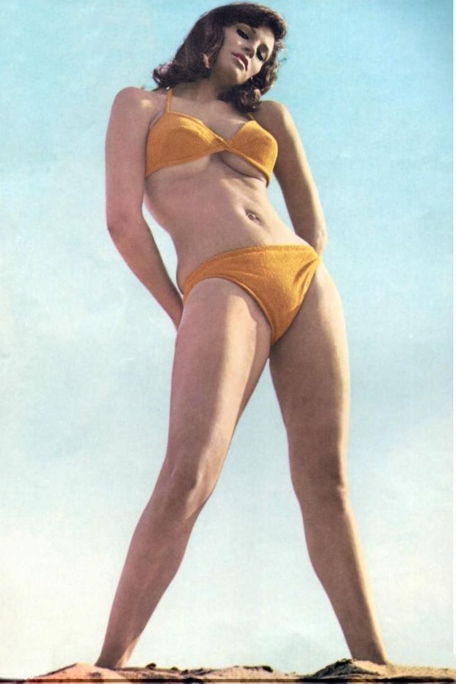 Raquel Welch Nude & Sexy Collection (51 Photos + Videos)