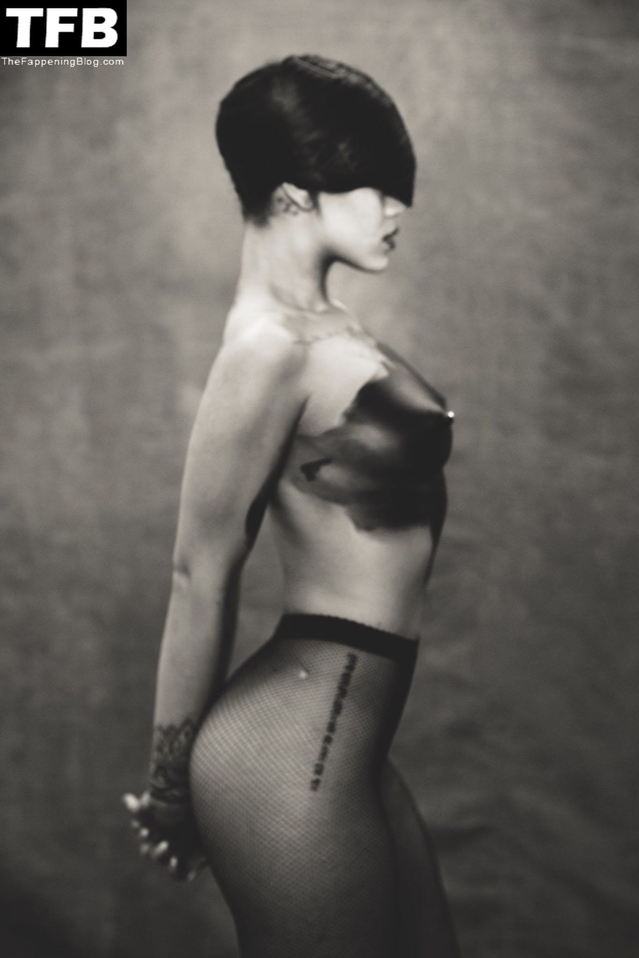 Rihanna Nude & Sexy (17 Photos)