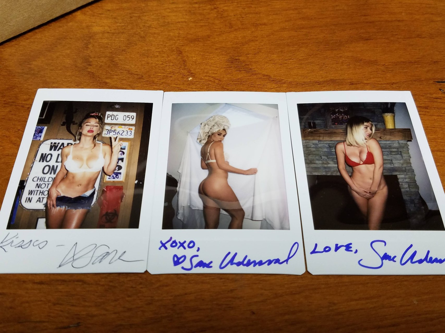 Sara Underwood Nude & Sexy (16 Photos)