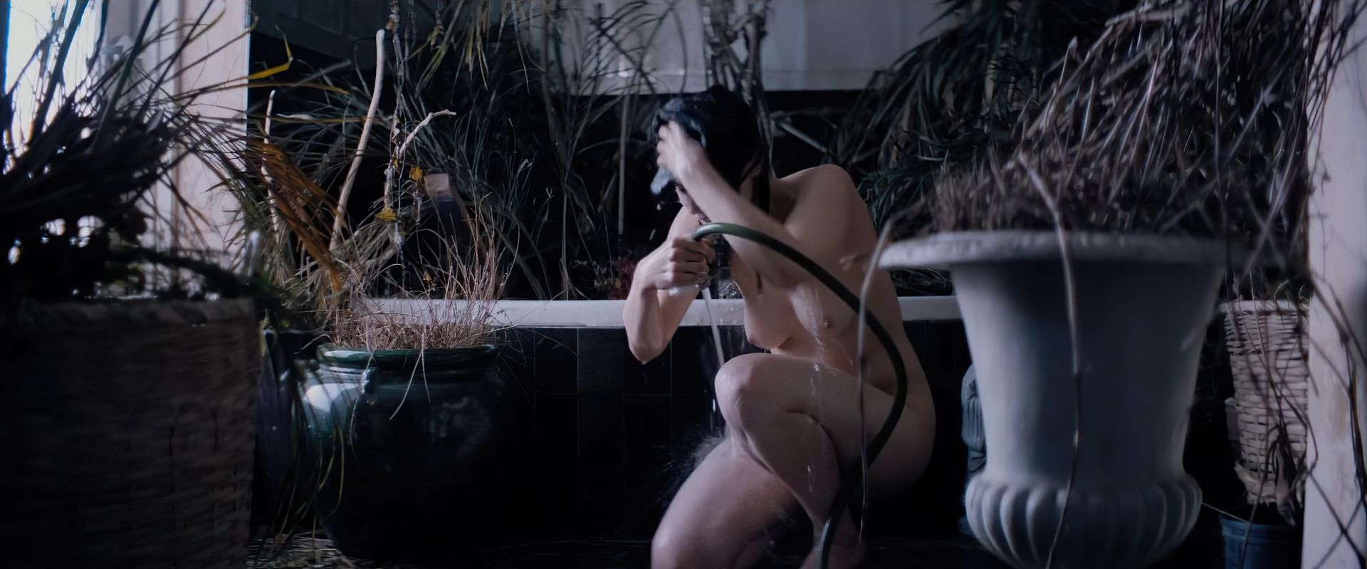 Sarah Gadon Nude & Sexy (27 Photos + Videos)