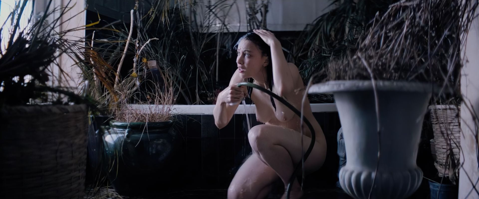 Sarah Gadon Nude & Sexy (27 Photos + Videos)