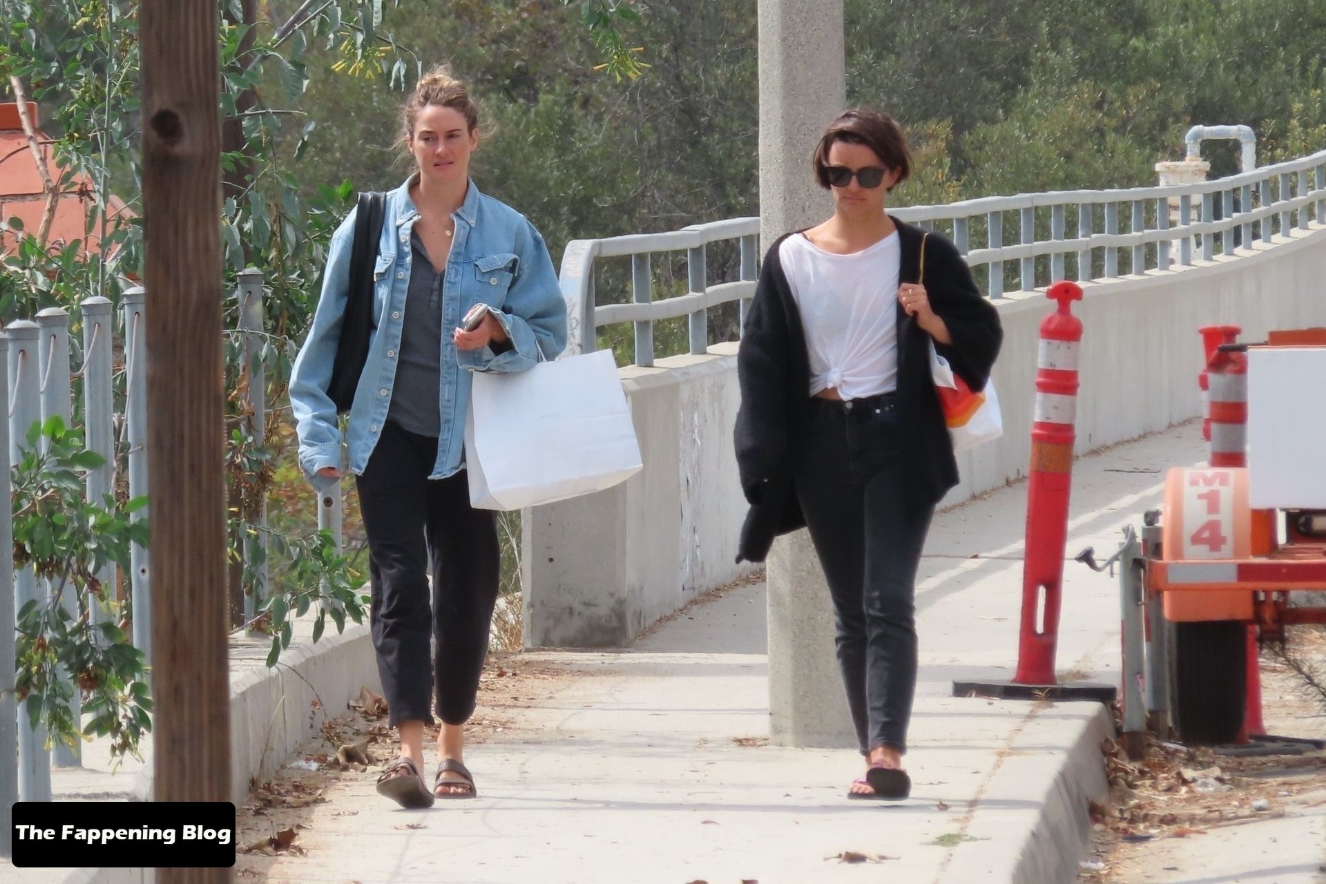 Shailene Woodley Puts Her Fit Body on Display on the Beach in Malibu (150 Photos)