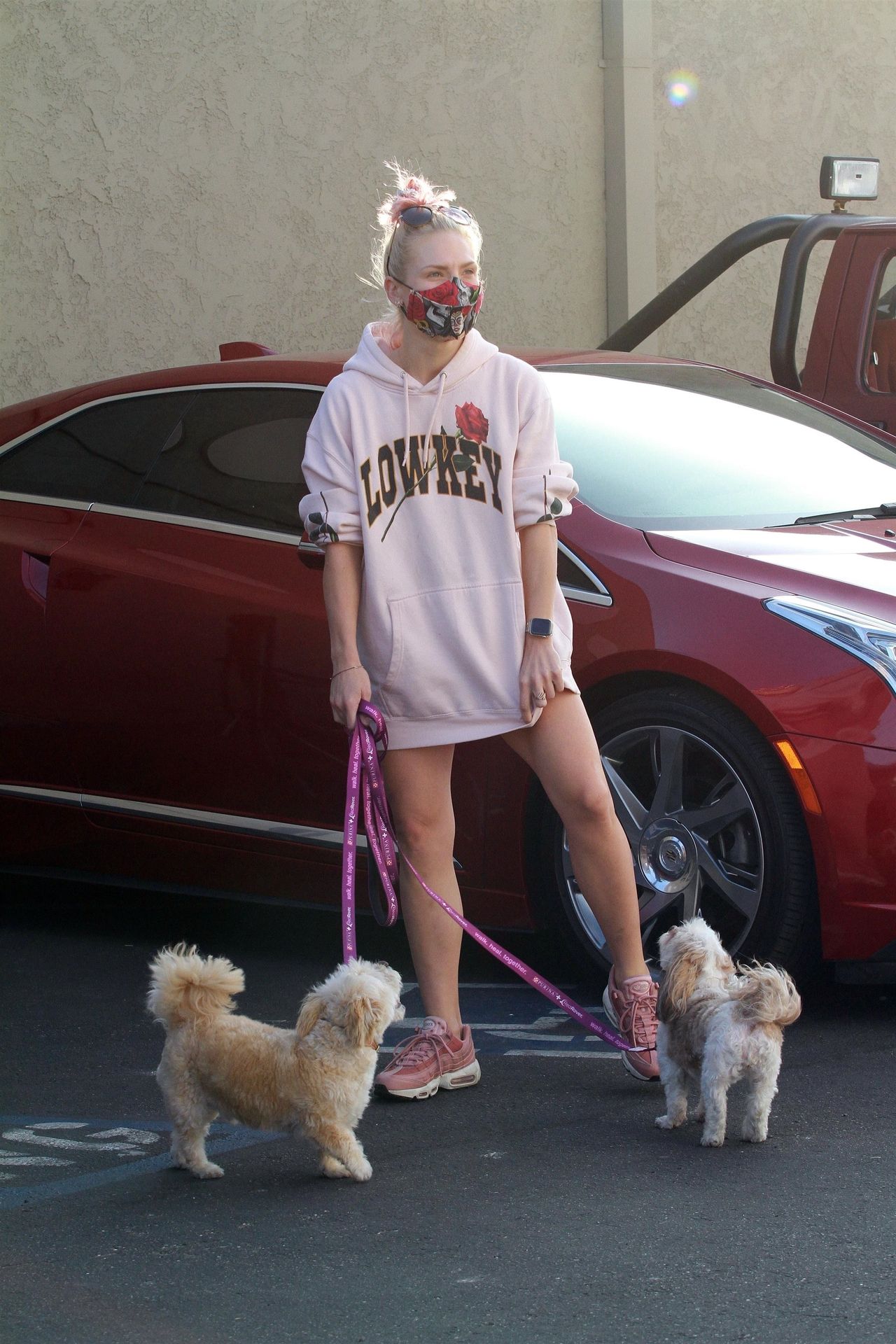Sharna Burgess Brings Her Dogs to the DWTS Dance Studio (38 Photos)