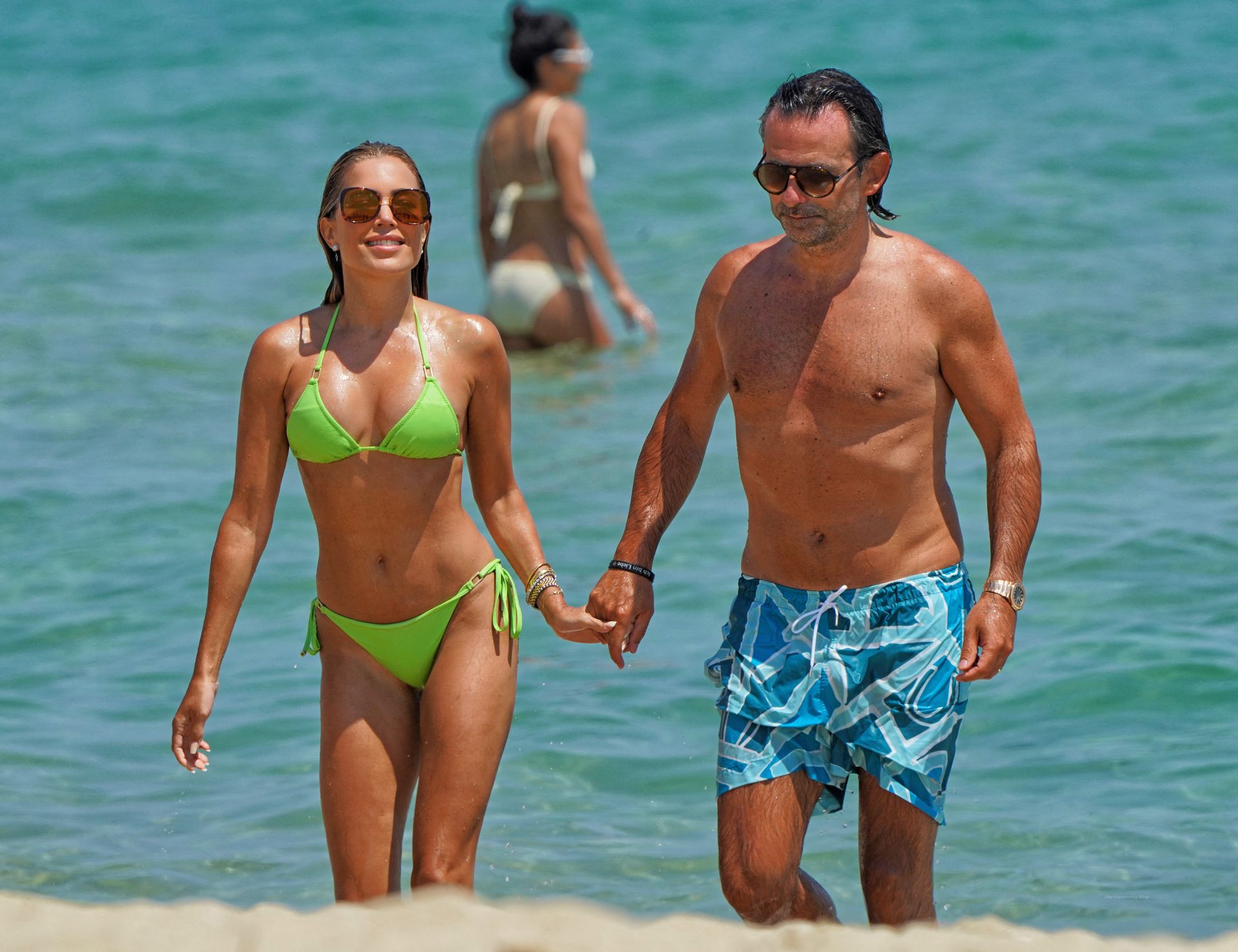 Sylvie Meis Enjoys a Day in a Green Bikini on the Beach in Saint Tropez (35 Photos)