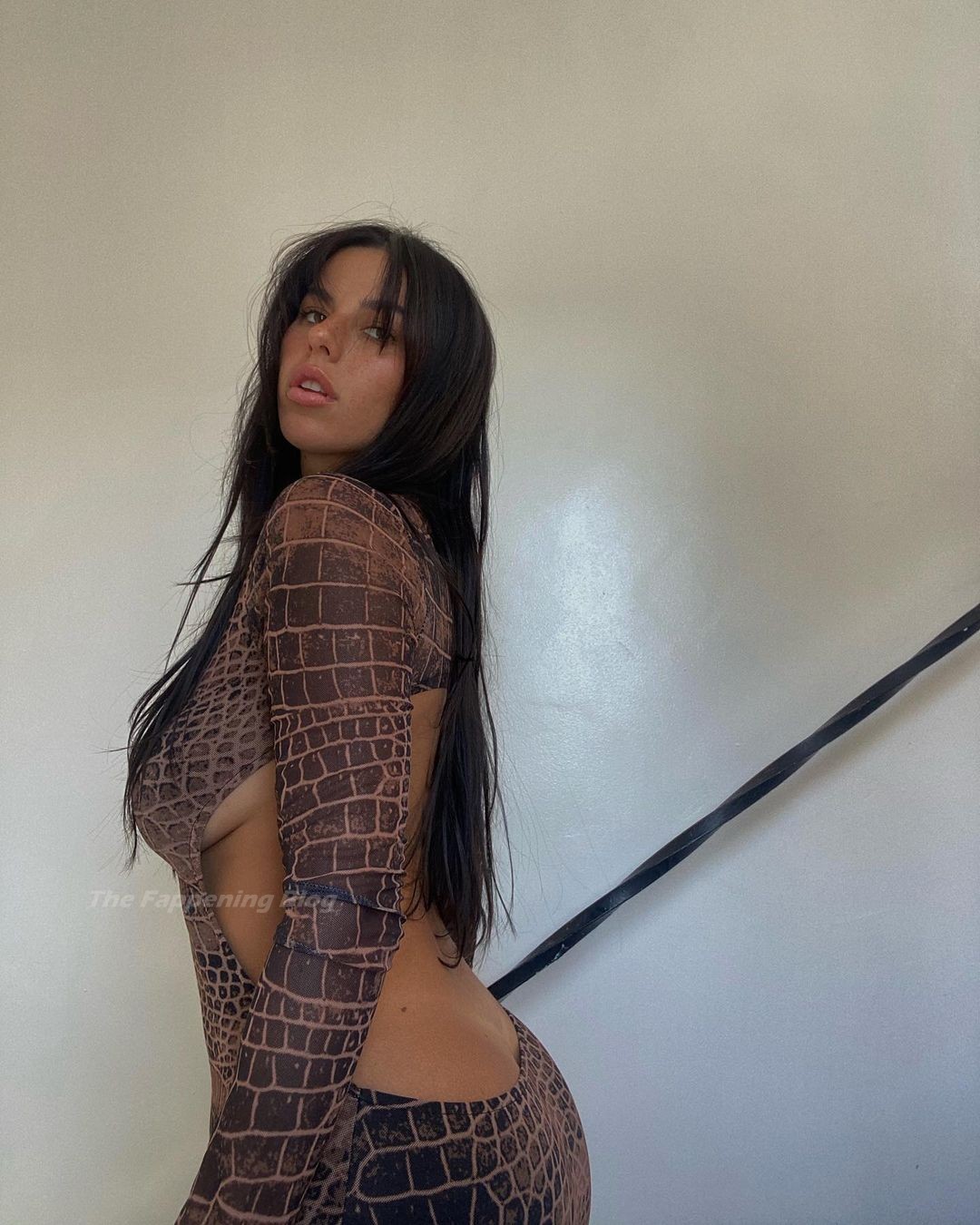 Victoria Villarroel Gamero Sexy & Topless (61 Photos)