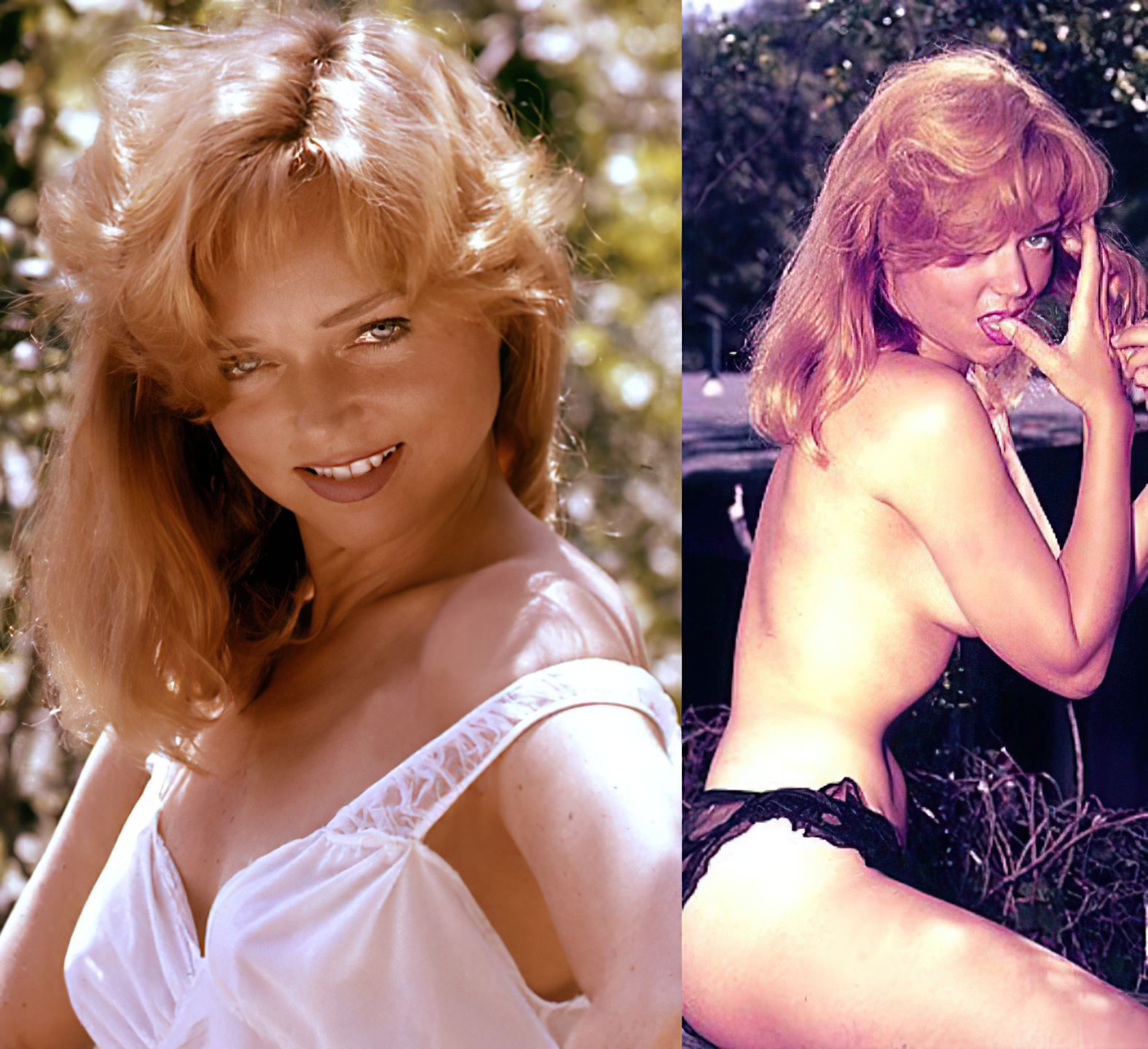 Yvette Vickers Nude (29 Photos)