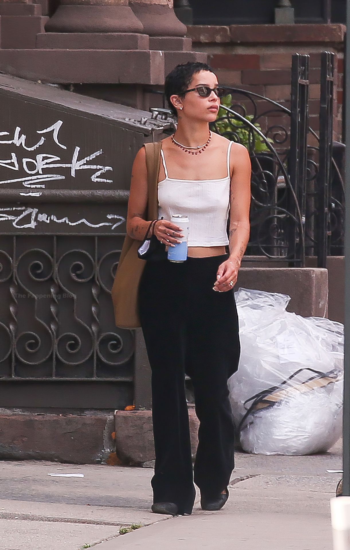 Zoe Kravitz is Pictured Braless on a Solo Stroll in NYC (6 Photos)