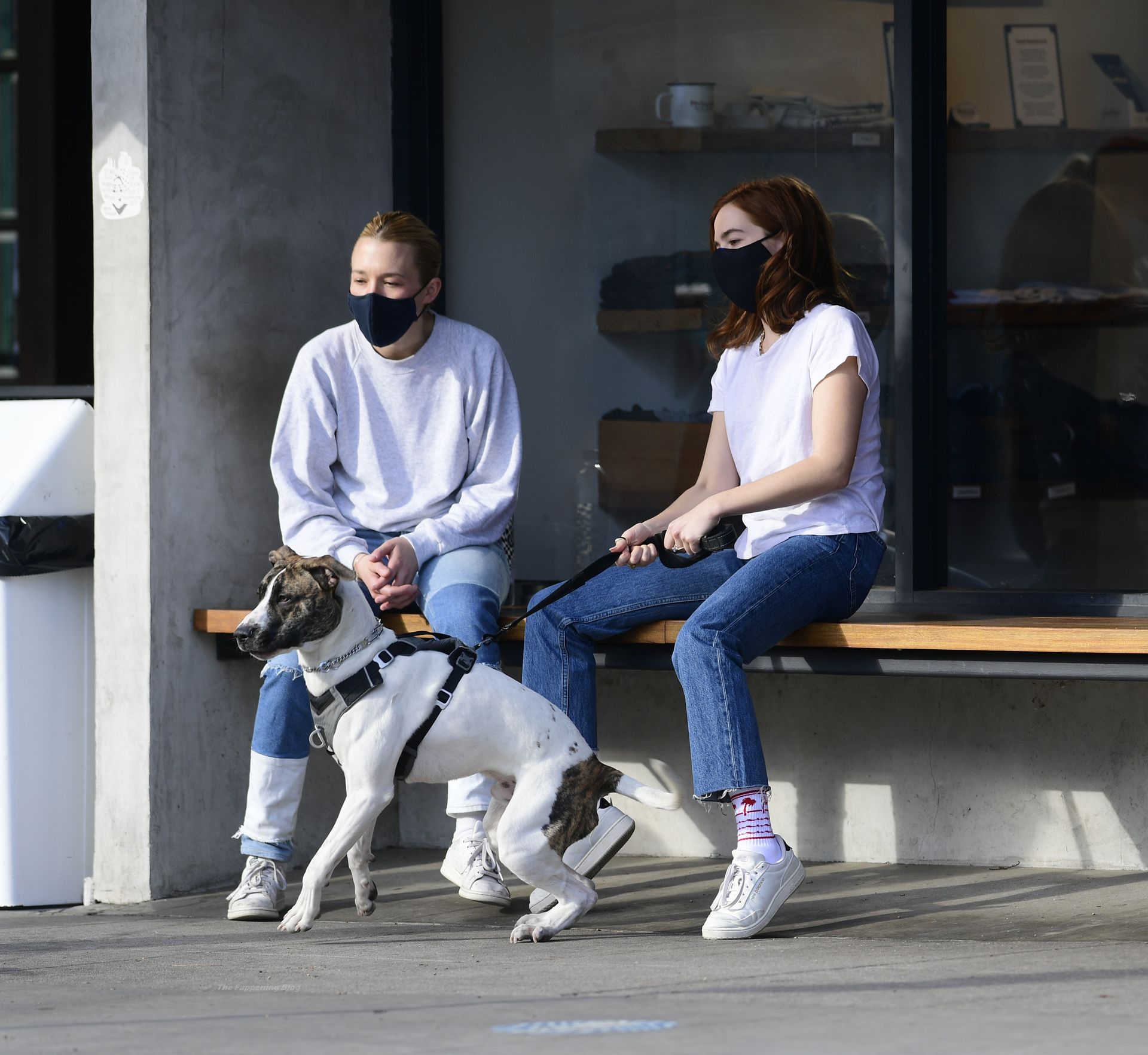 Zoey Deutch Plays With Friends Dog While on a Coffee Run in LA (45 Photos)