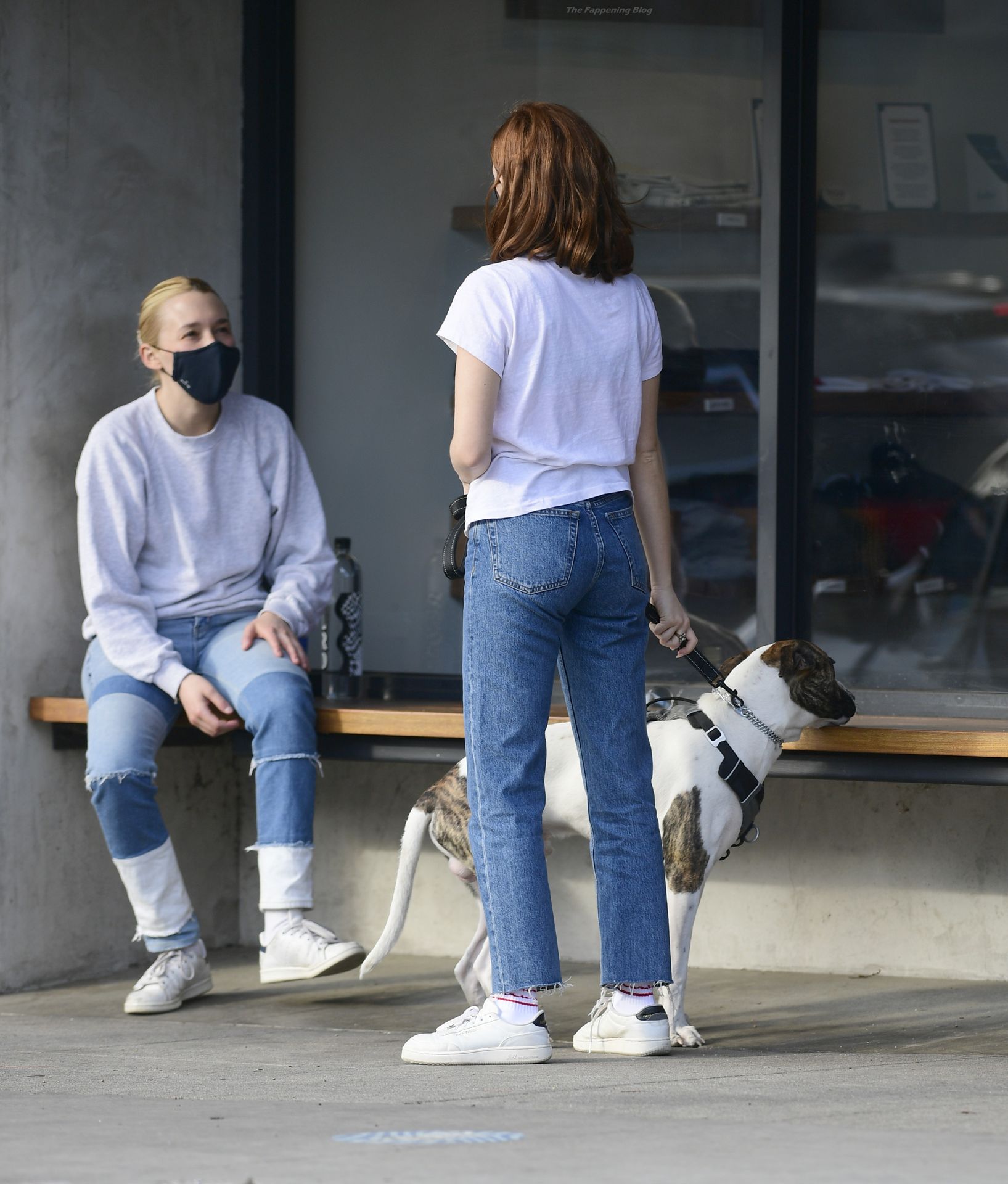 Zoey Deutch Plays With Friends Dog While on a Coffee Run in LA (45 Photos)