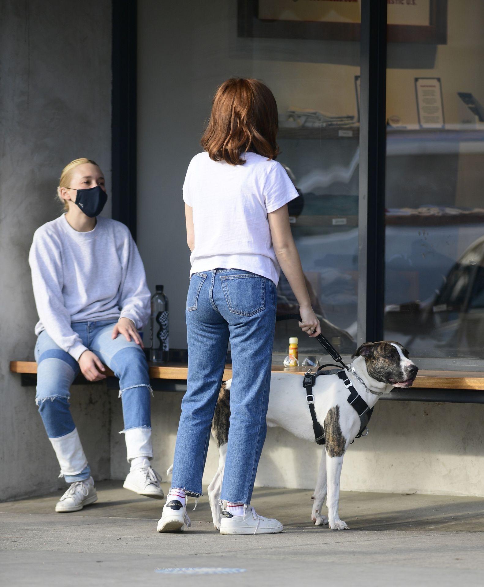 Zoey Deutch Plays With Friends Dog While on a Coffee Run in LA (45 Photos)