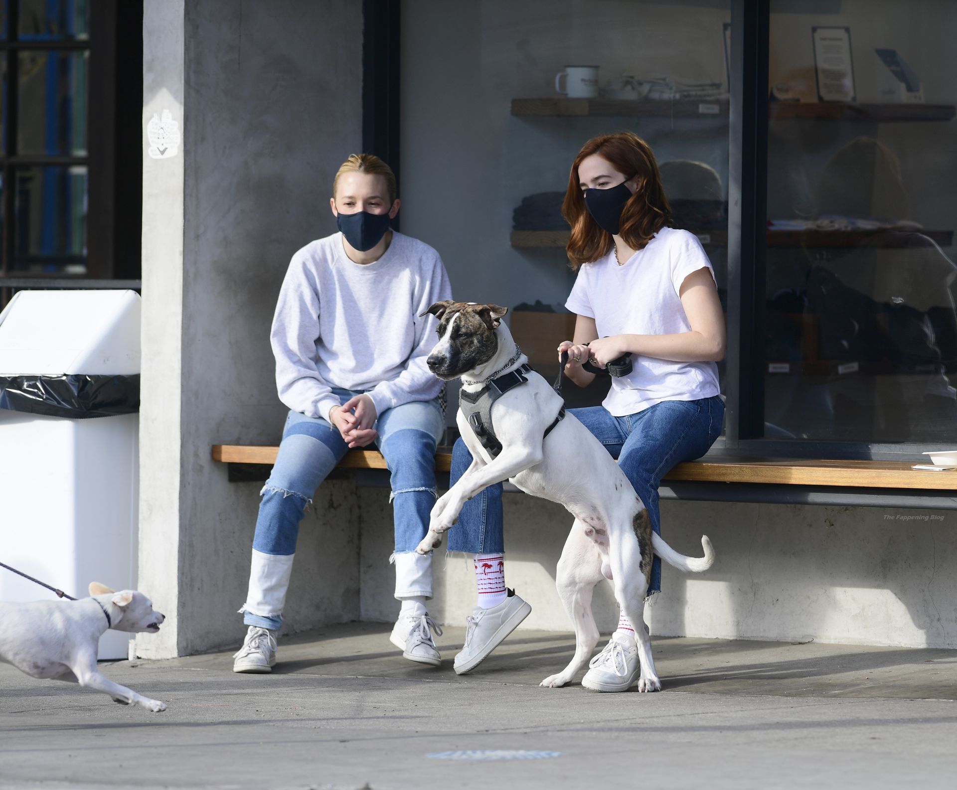 Zoey Deutch Plays With Friends Dog While on a Coffee Run in LA (45 Photos)